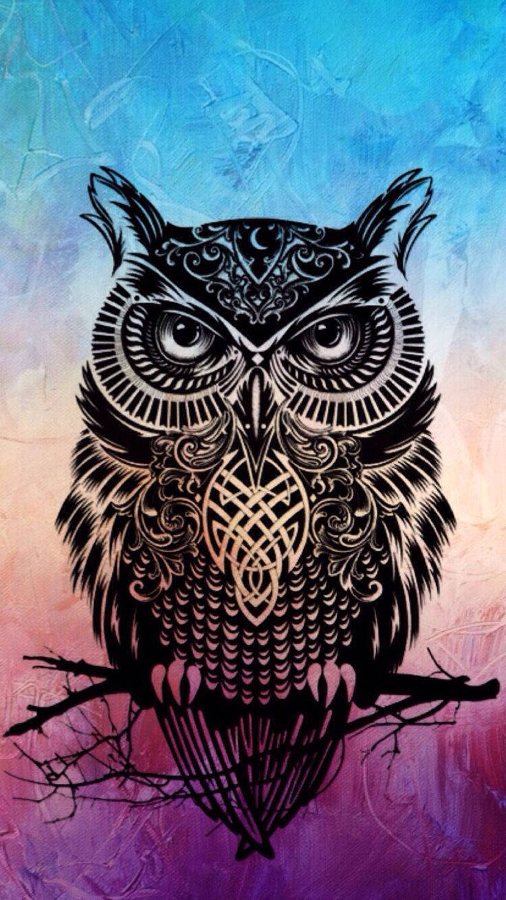 Owl 736X1309 Wallpaper and Background Image