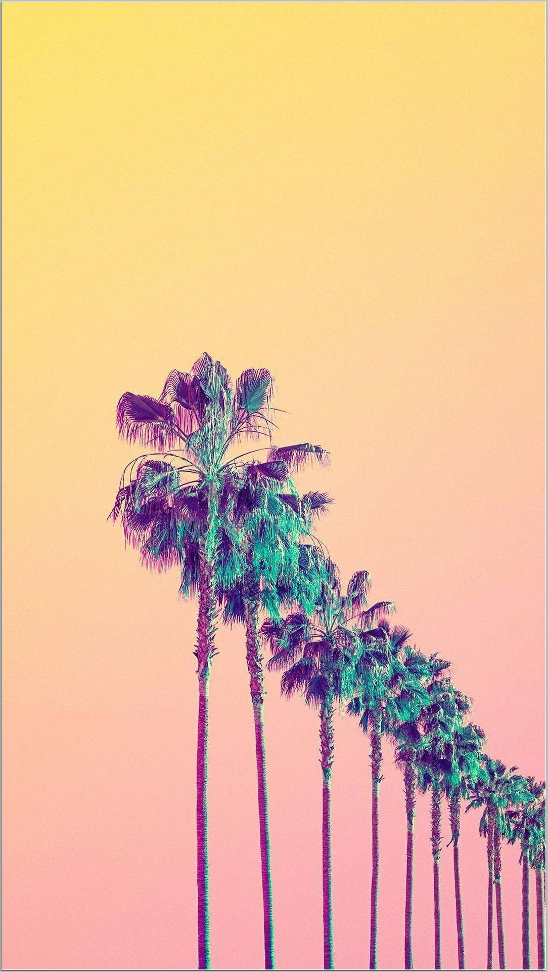 1089X1929 Palm Tree Wallpaper and Background