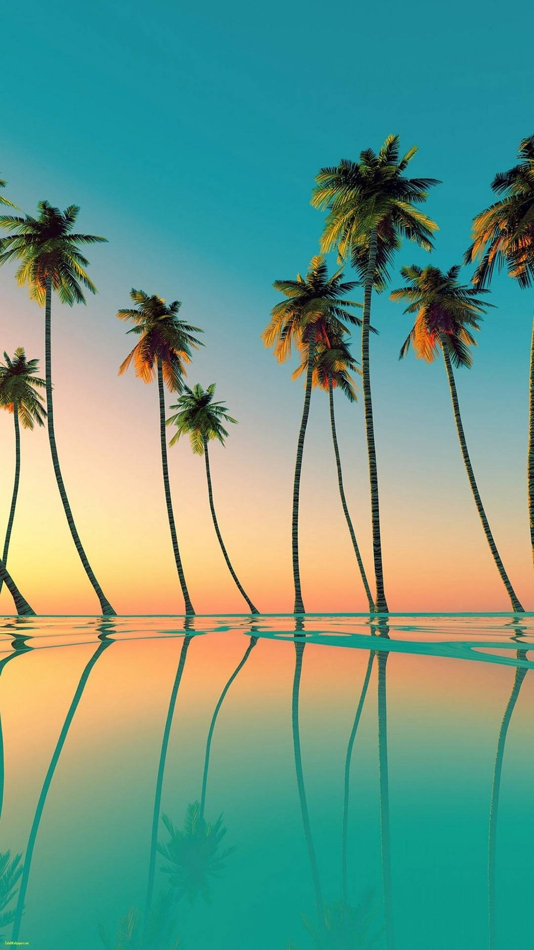 1200X2133 Palm Tree Wallpaper and Background