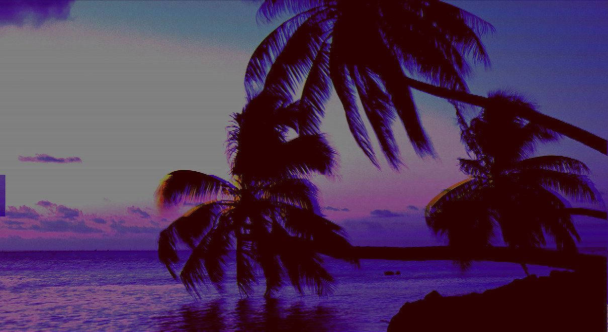 1209X661 Palm Tree Wallpaper and Background