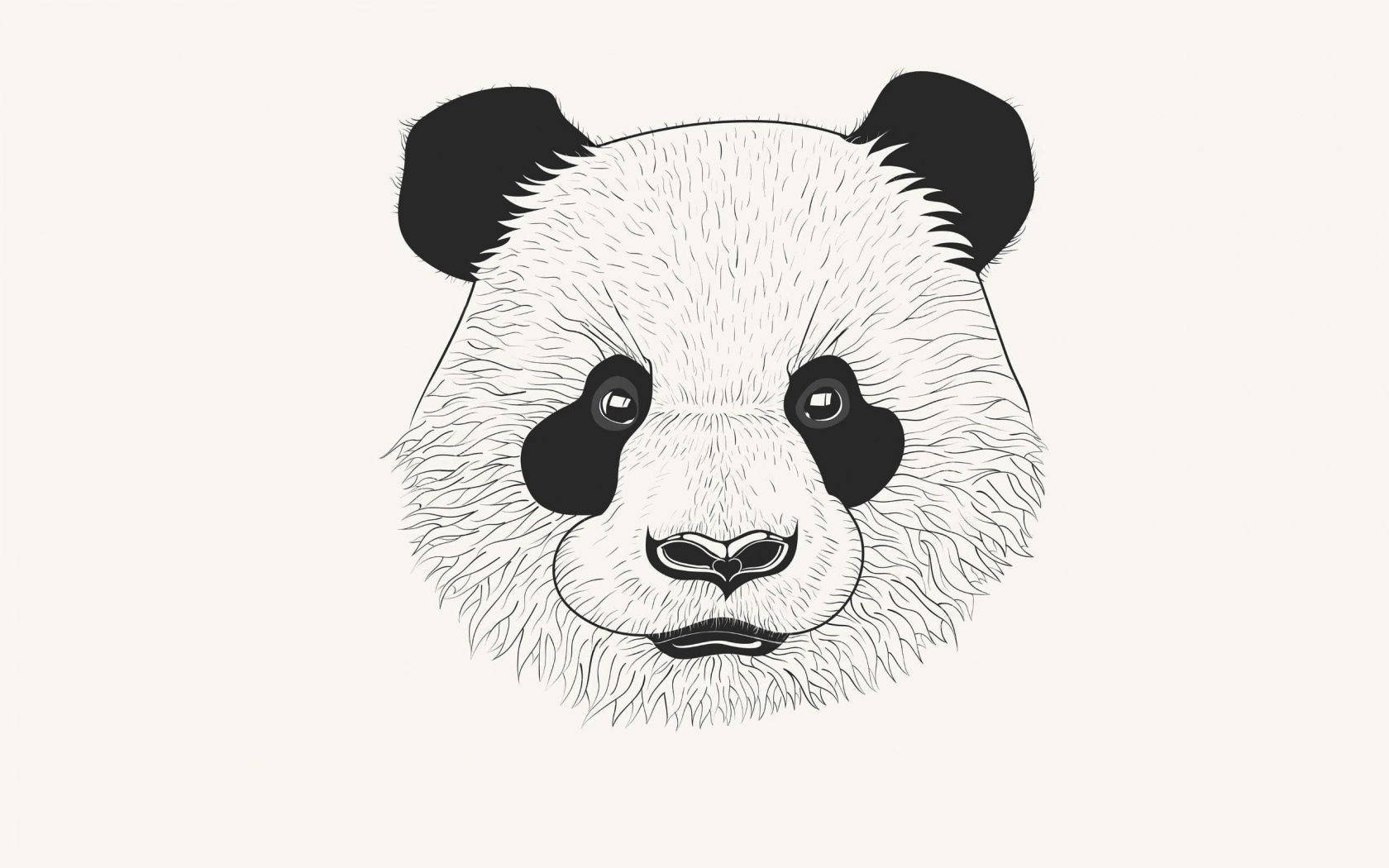 Panda 1680X1050 wallpaper