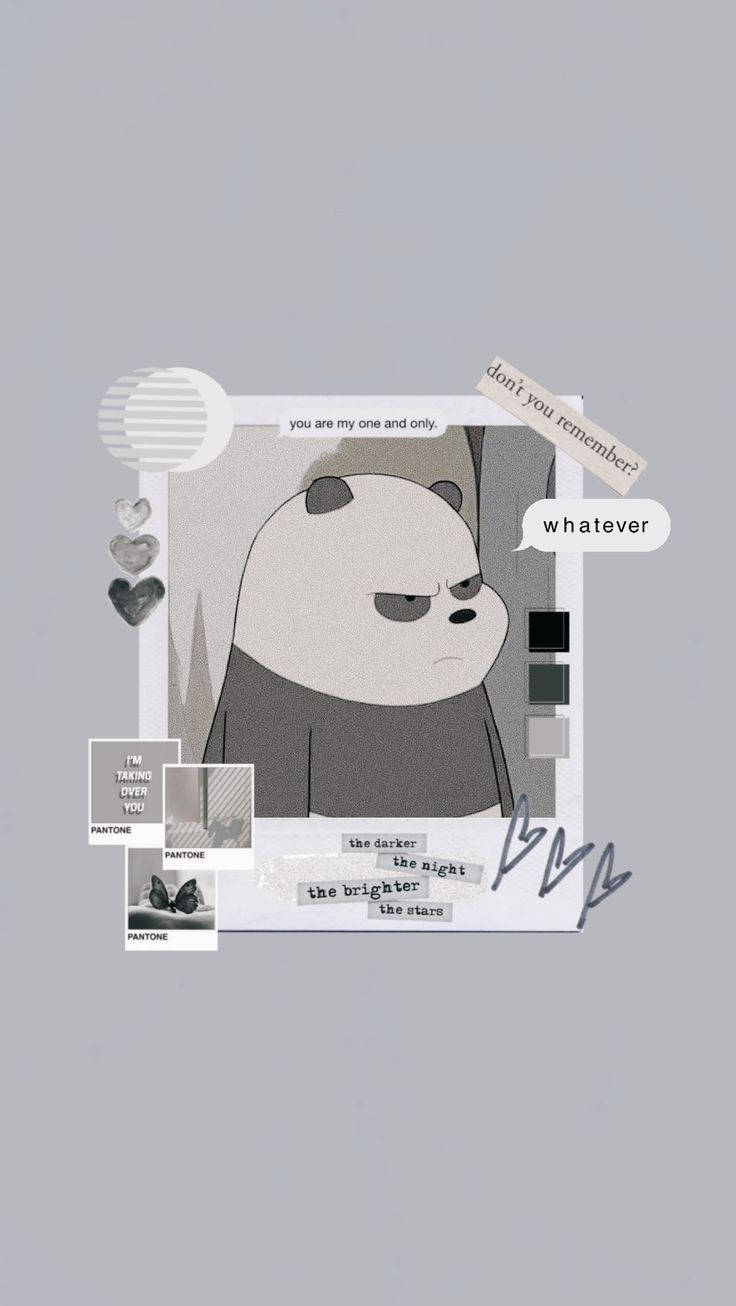 Panda 736X1306 Wallpaper and Background Image