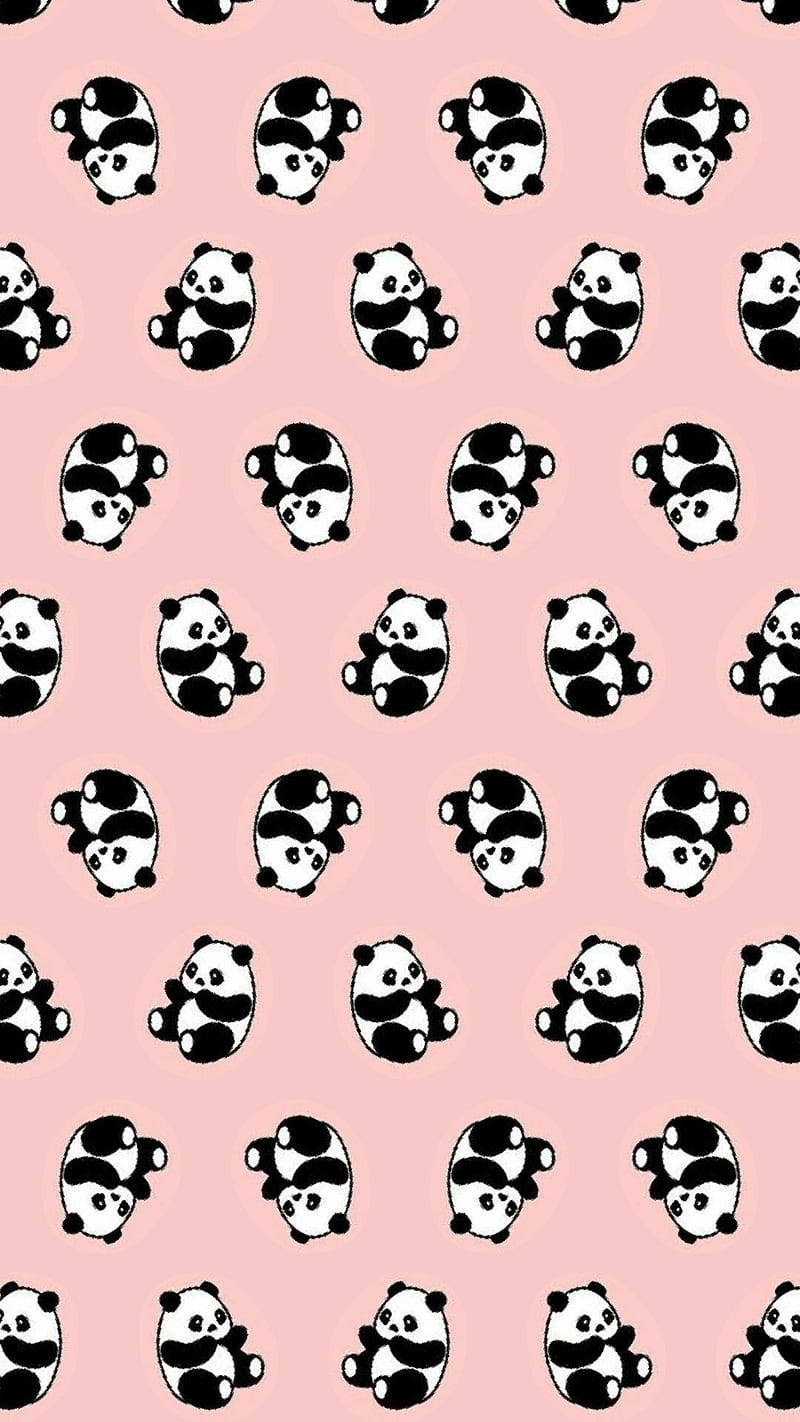 800X1422 Panda Wallpaper and Background