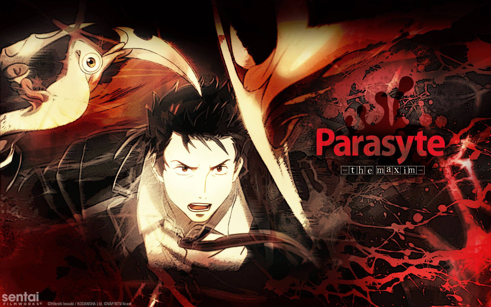 1920X1200 Parasyte Wallpaper and Background