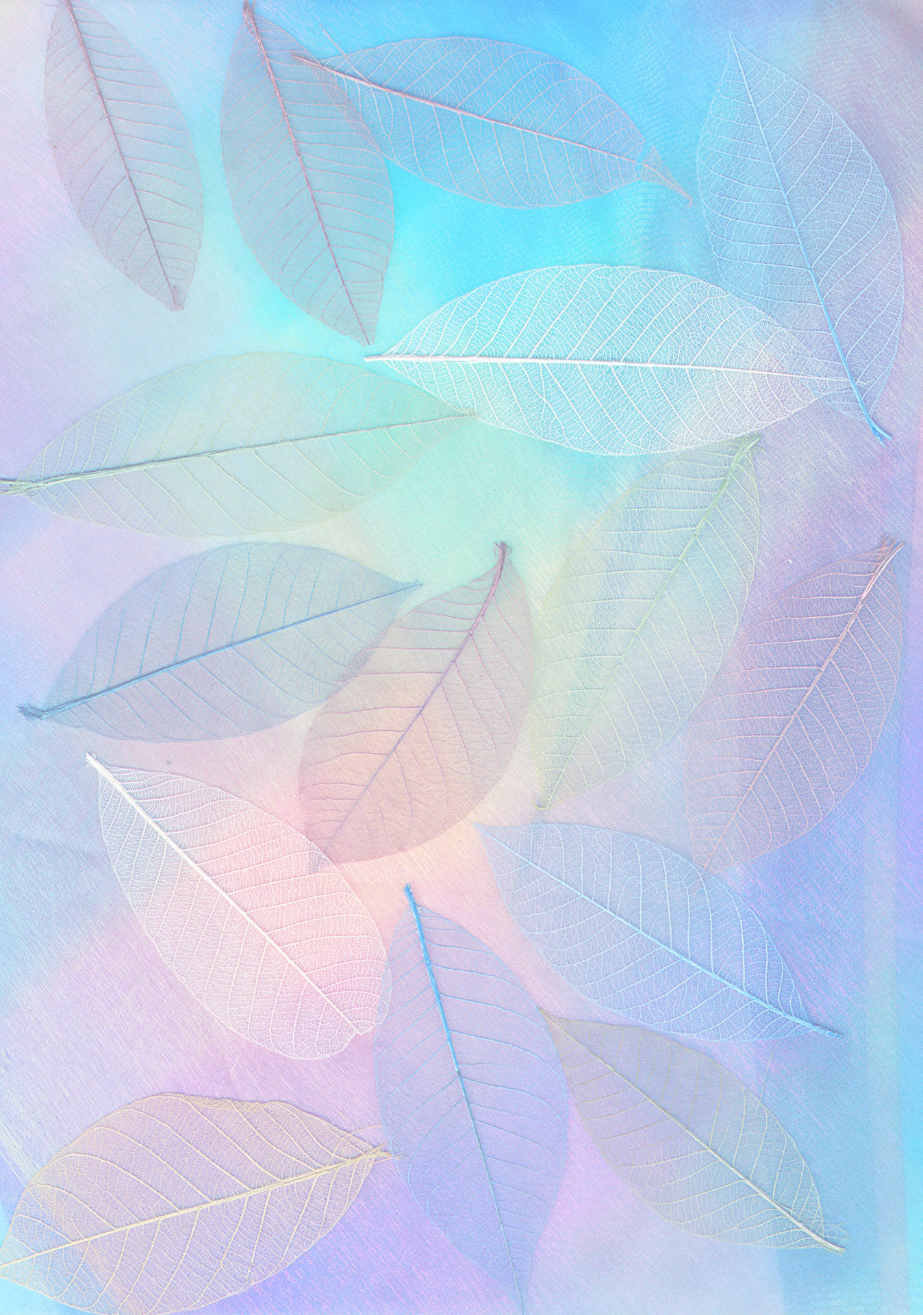 2484X3539 Pastel Wallpaper and Background