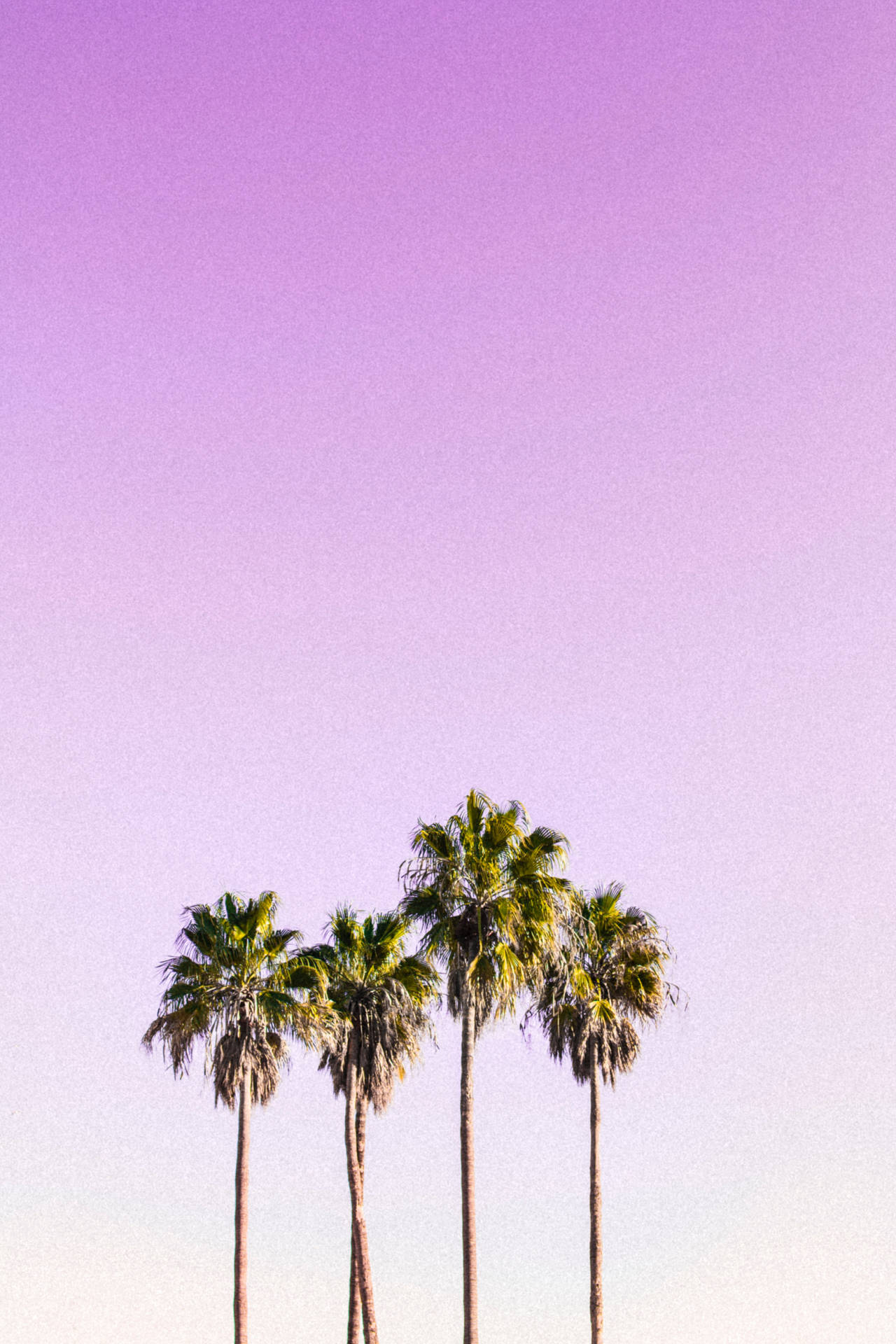 3648X5472 Pastel Wallpaper and Background