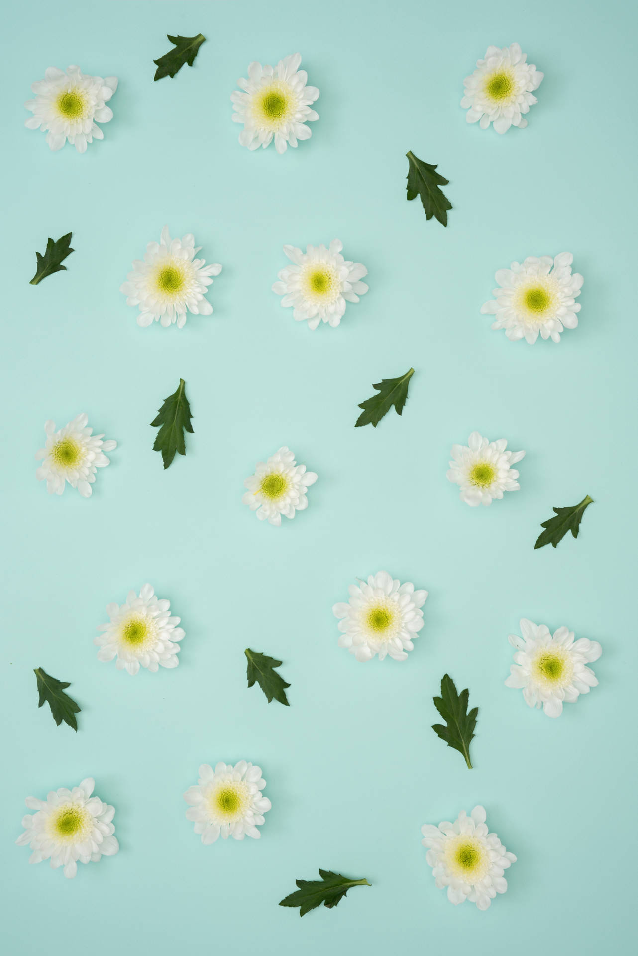 4016X6016 Pastel Wallpaper and Background