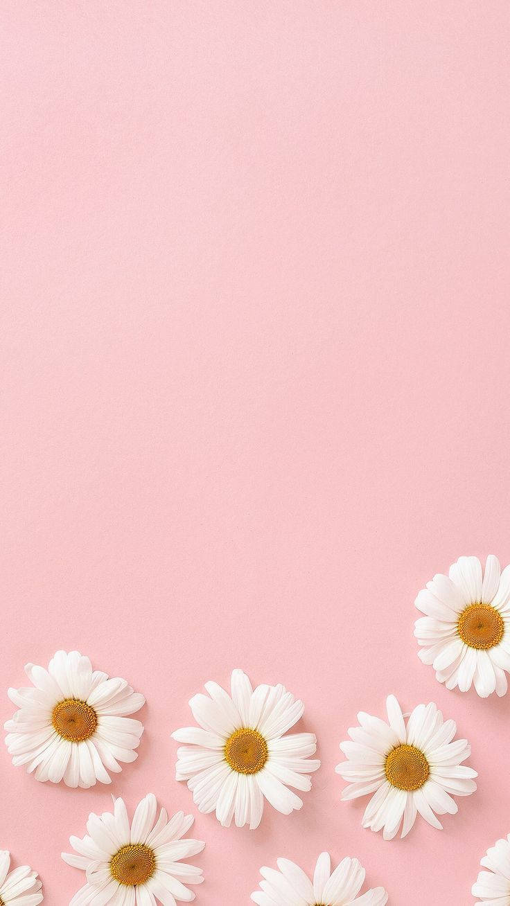 736X1308 Pastel Aesthetic Wallpaper and Background