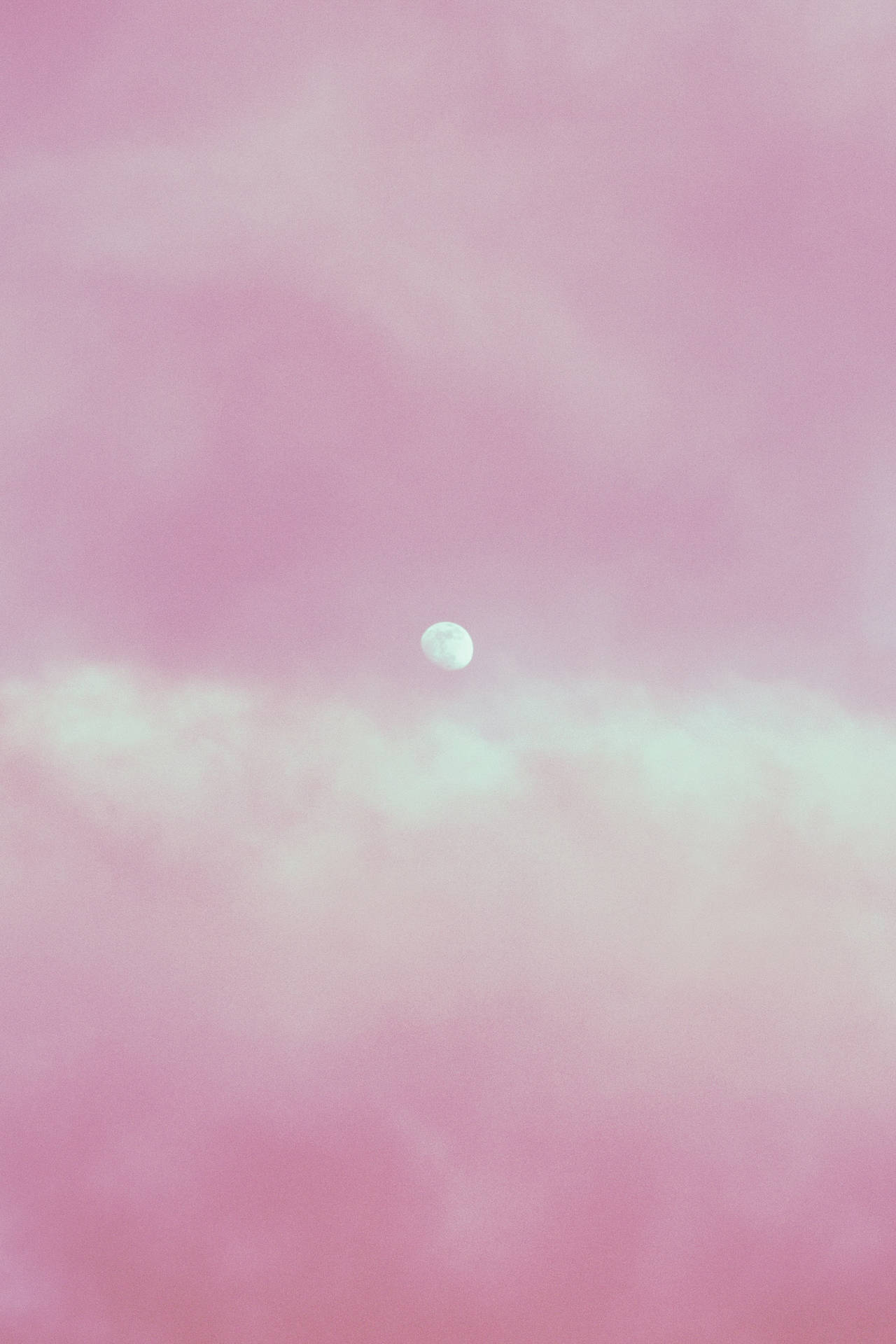 2000X3000 Pastel Pink Wallpaper and Background