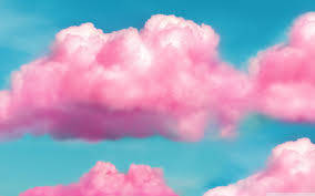 284X177 Pastel Pink Wallpaper and Background