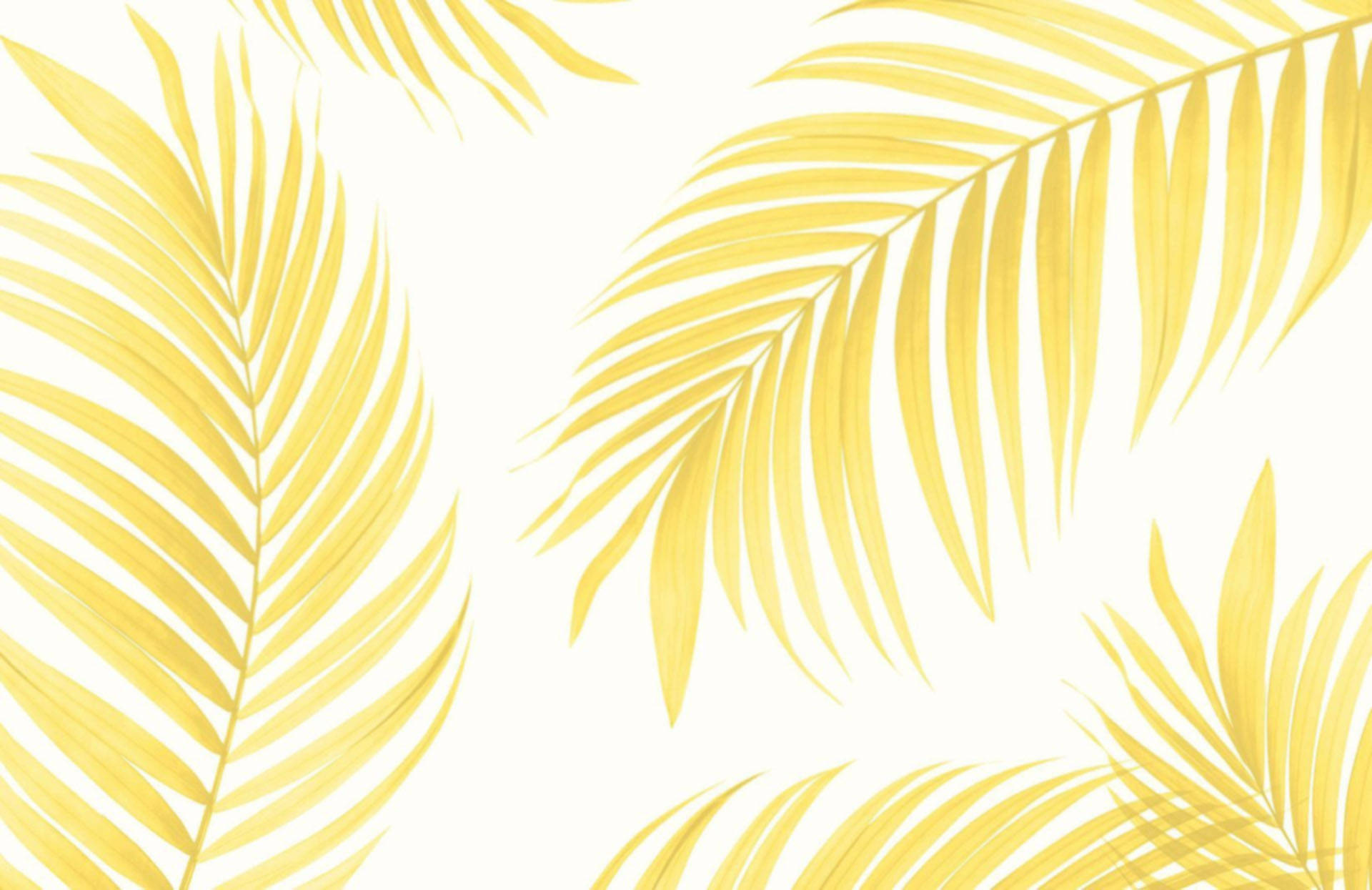 1920X1245 Pastel Yellow Wallpaper and Background