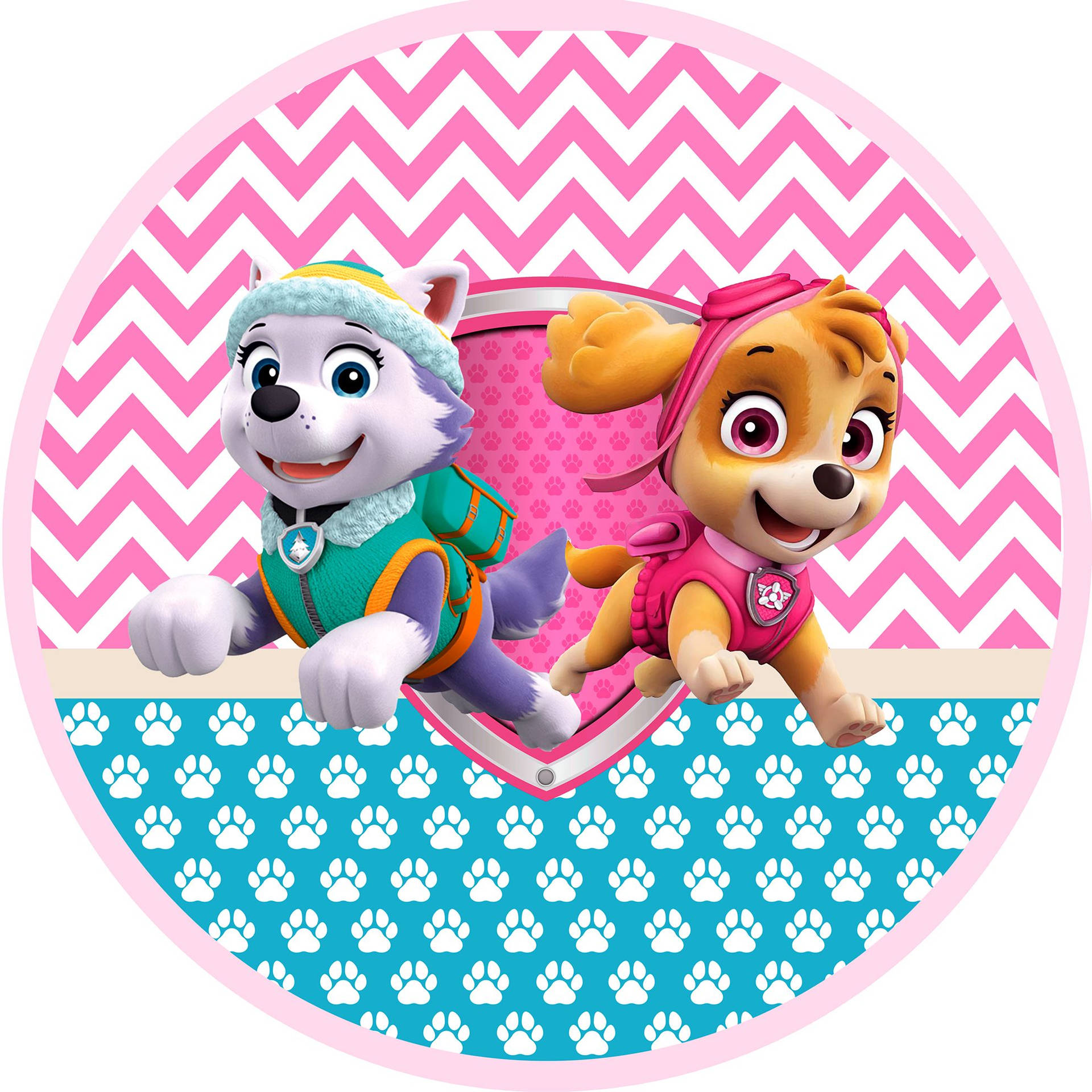 1984X1984 Paw Patrol Wallpaper and Background