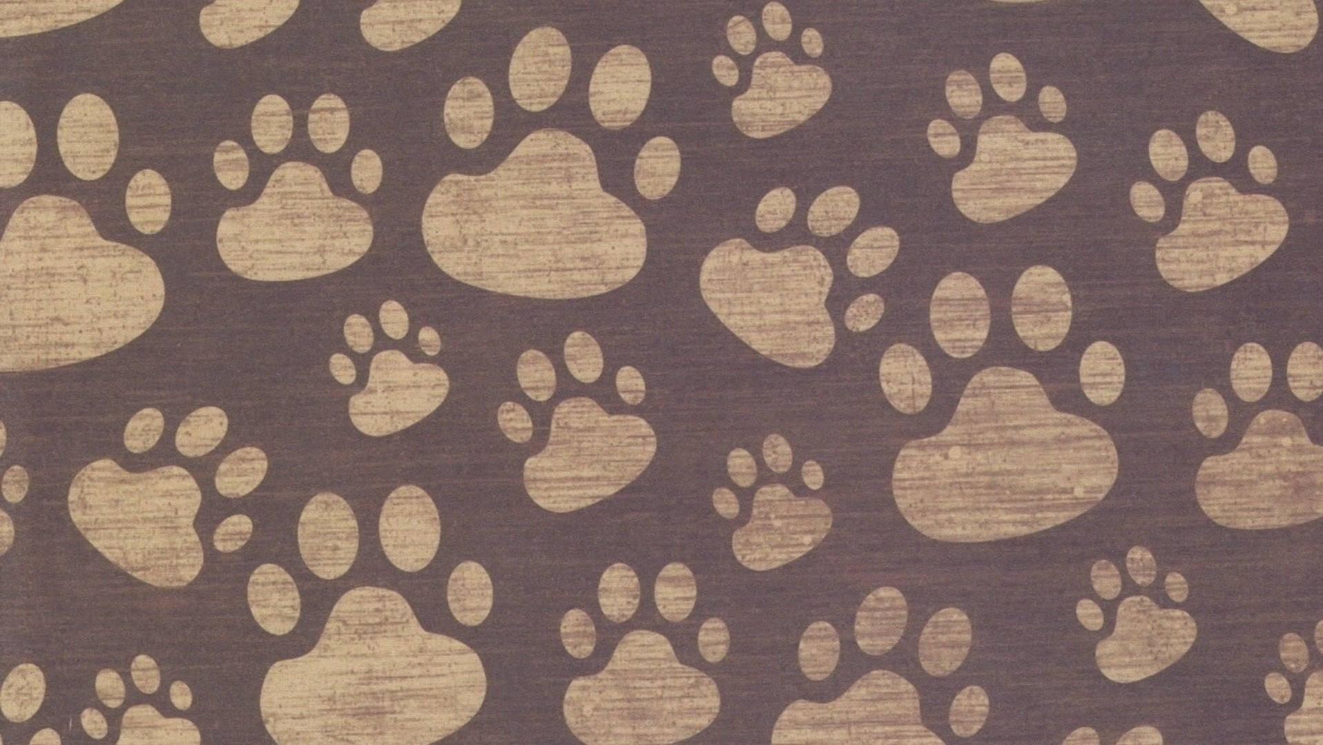Paw Print 1916X1079 Wallpaper and Background Image