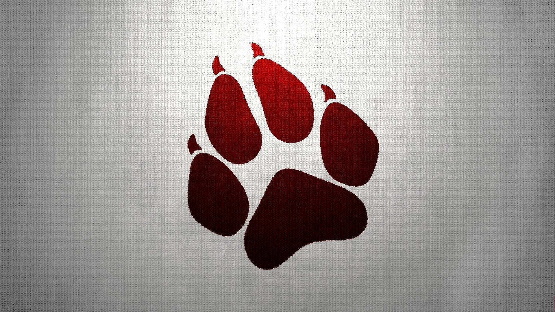 1920X1080 Paw Print Wallpaper and Background