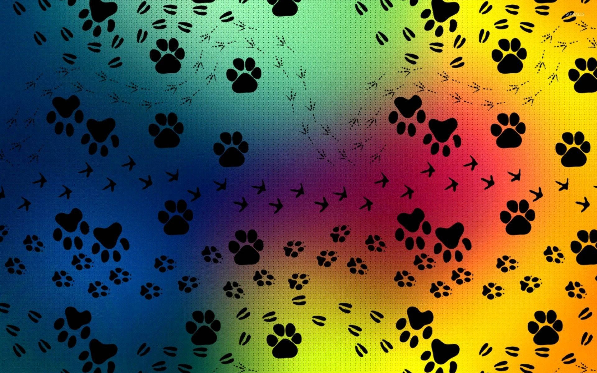 1920X1200 Paw Print Wallpaper and Background