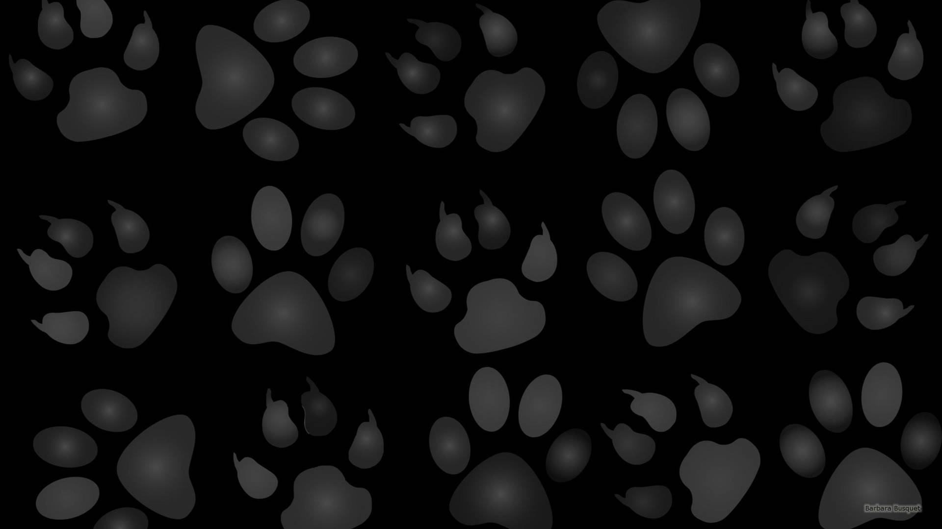 2560X1440 Paw Print Wallpaper and Background