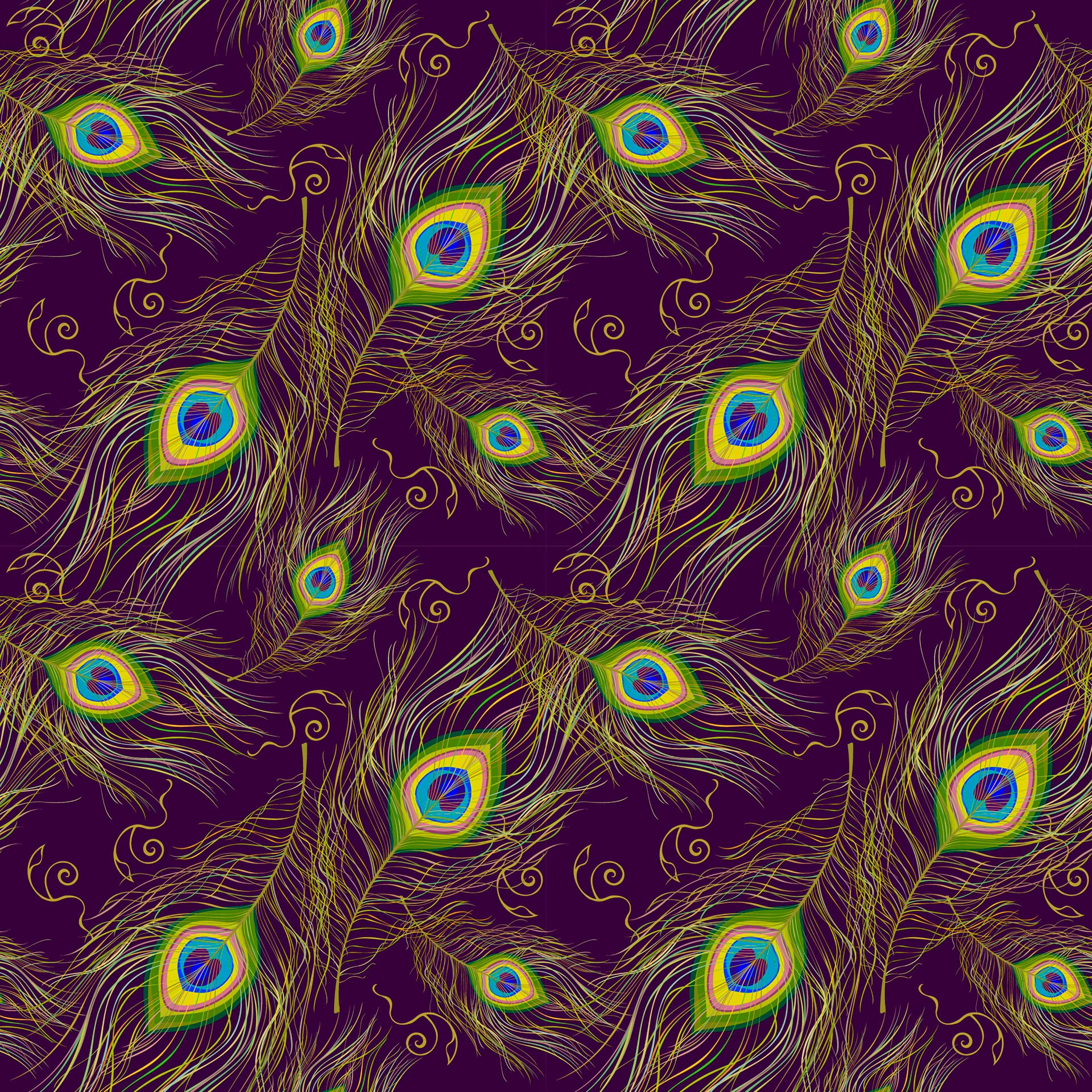 Peacock 2800X2800 Wallpaper and Background Image