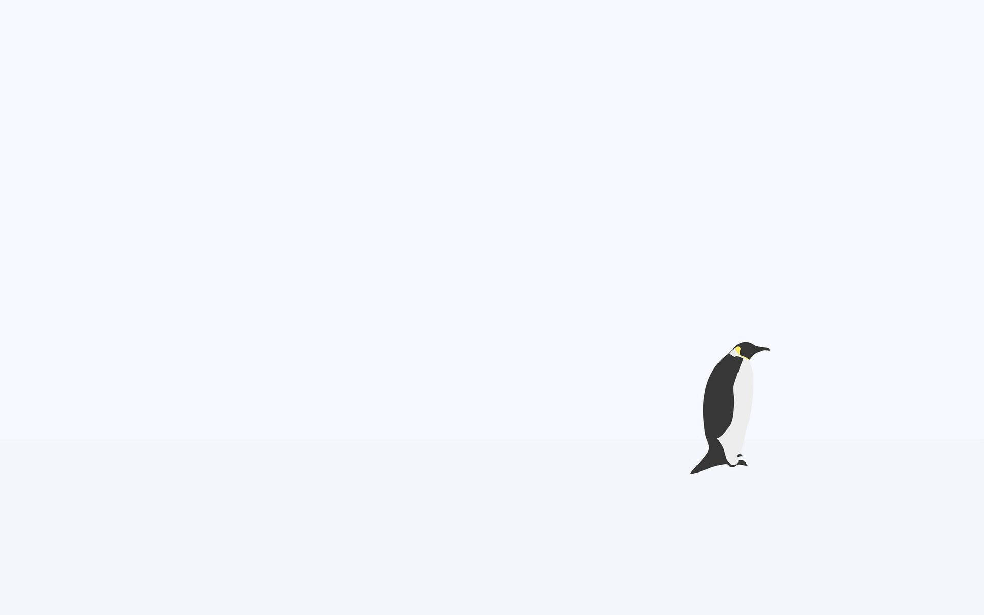 Penguin 1920X1200 Wallpaper and Background Image