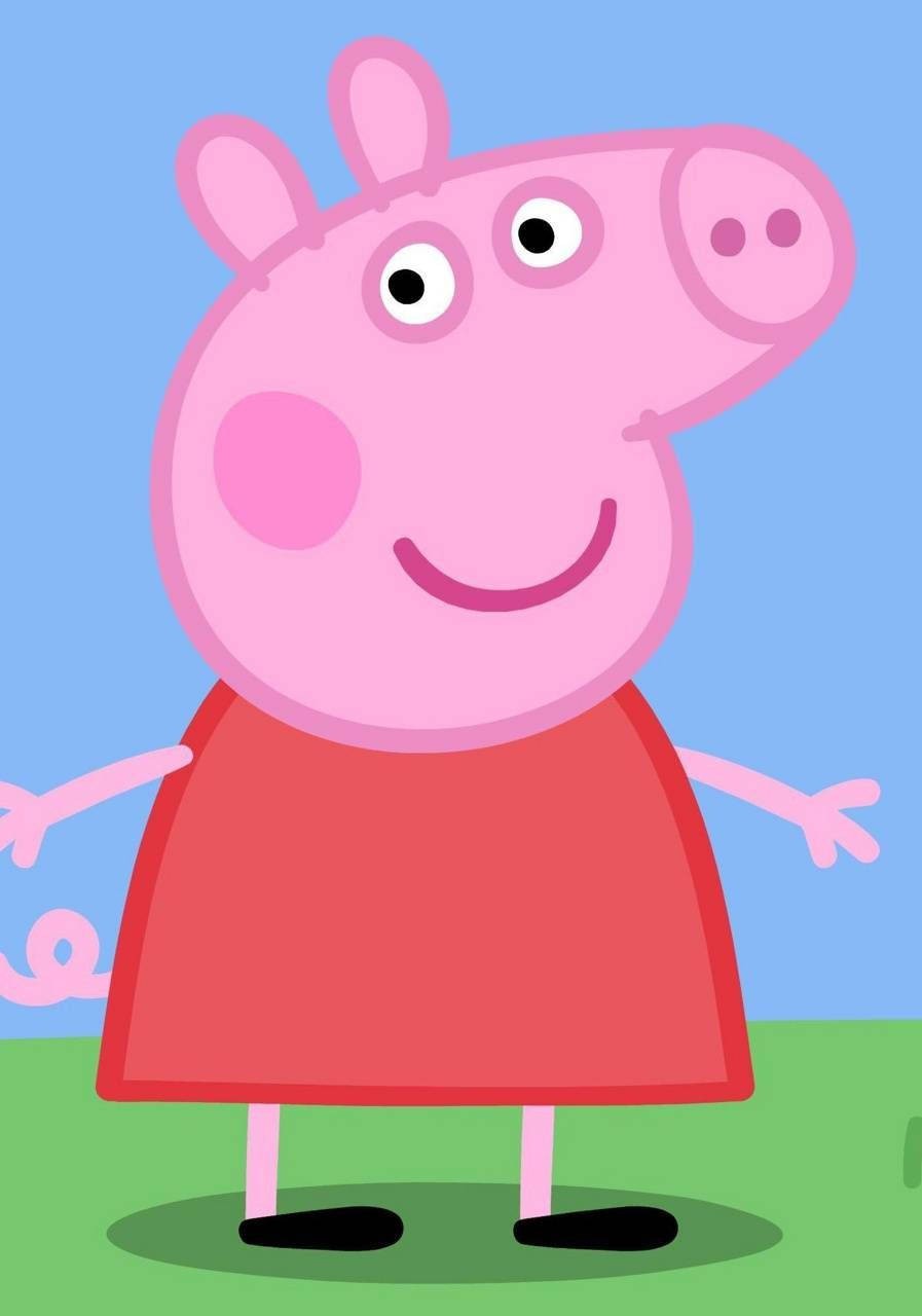 Peppa Pig 897X1280 Wallpaper and Background Image
