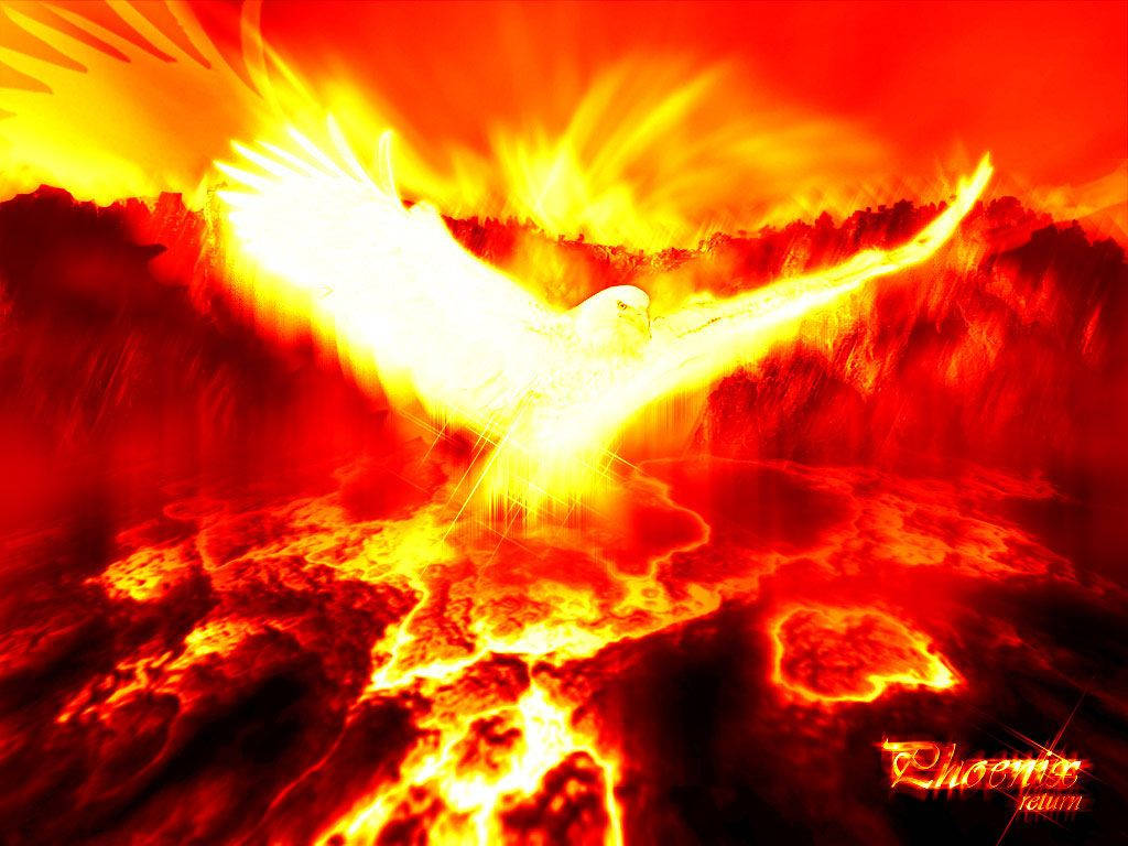 Phoenix 1024X768 Wallpaper and Background Image