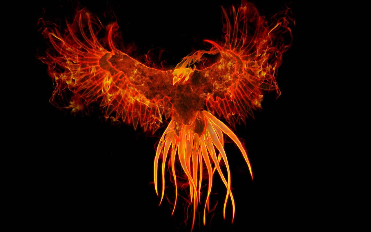 Phoenix 1280X800 Wallpaper and Background Image