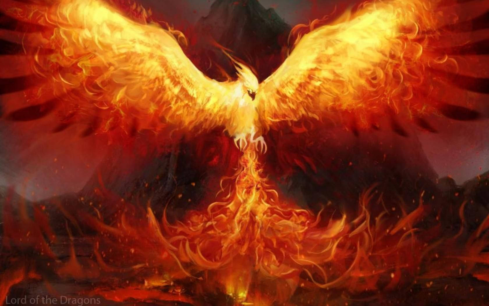 Phoenix 1680X1050 Wallpaper and Background Image