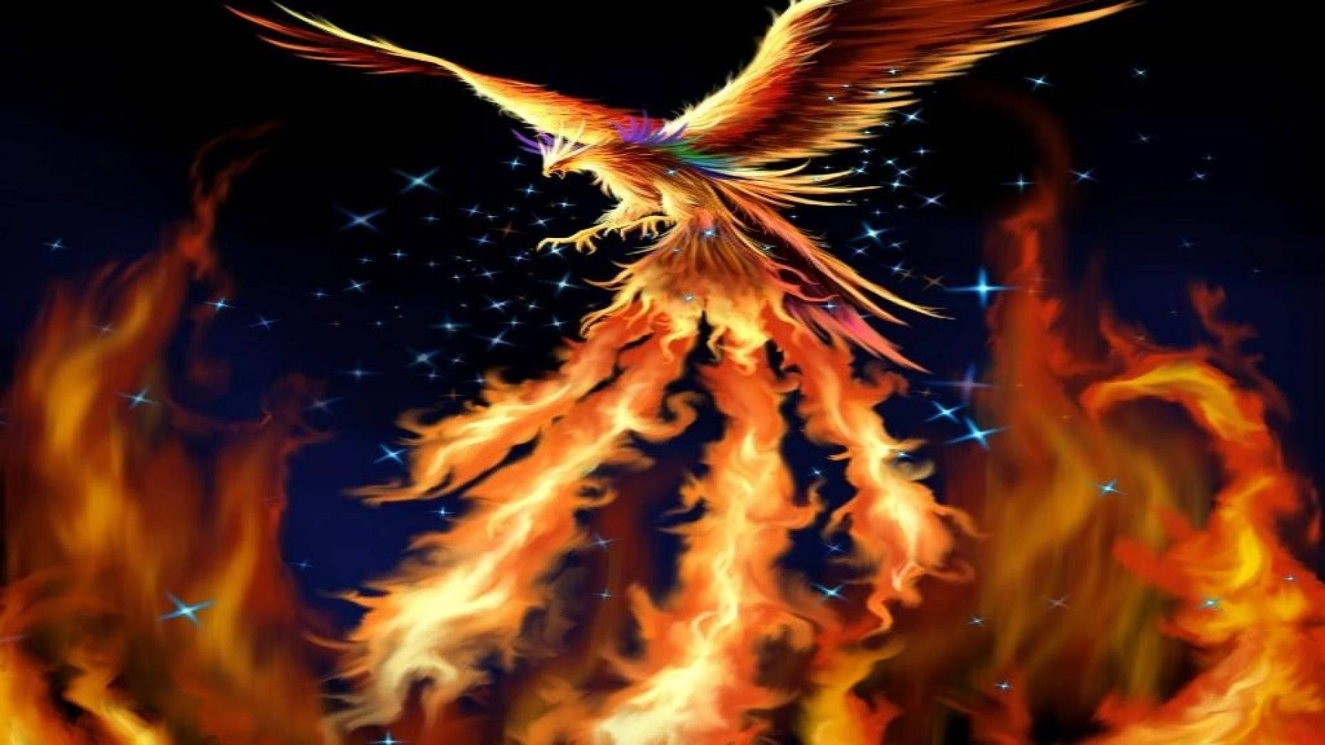 Phoenix 1920X1080 Wallpaper and Background Image