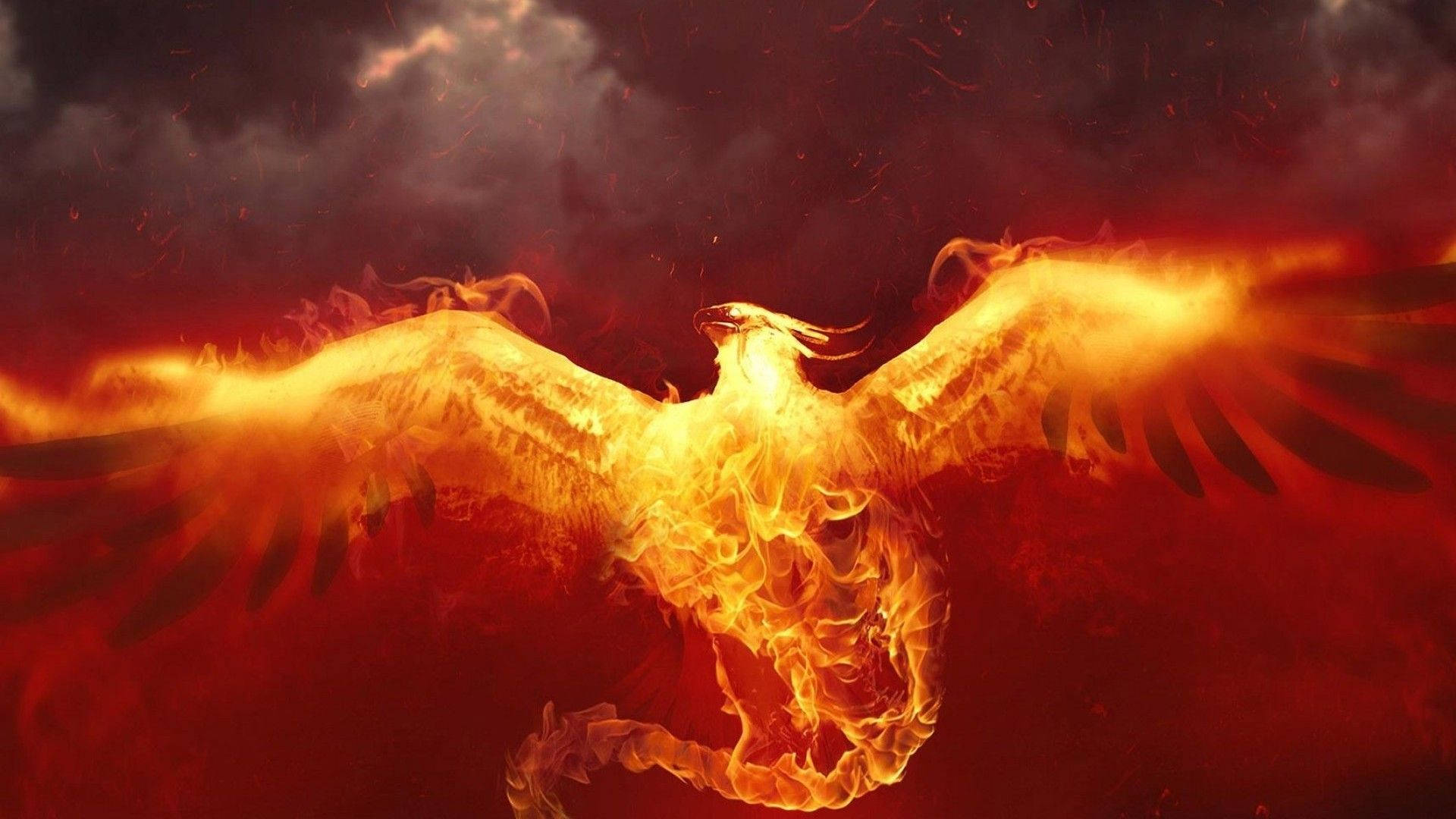 Phoenix 1920X1080 Wallpaper and Background Image