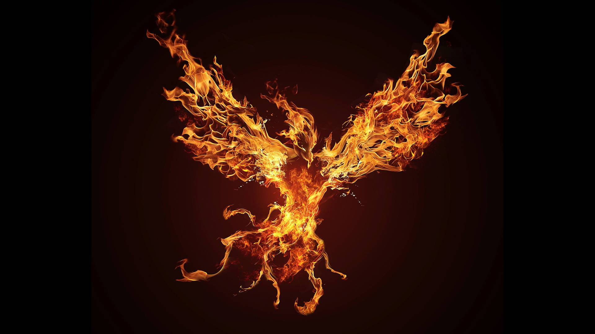 Phoenix 2560X1440 Wallpaper and Background Image