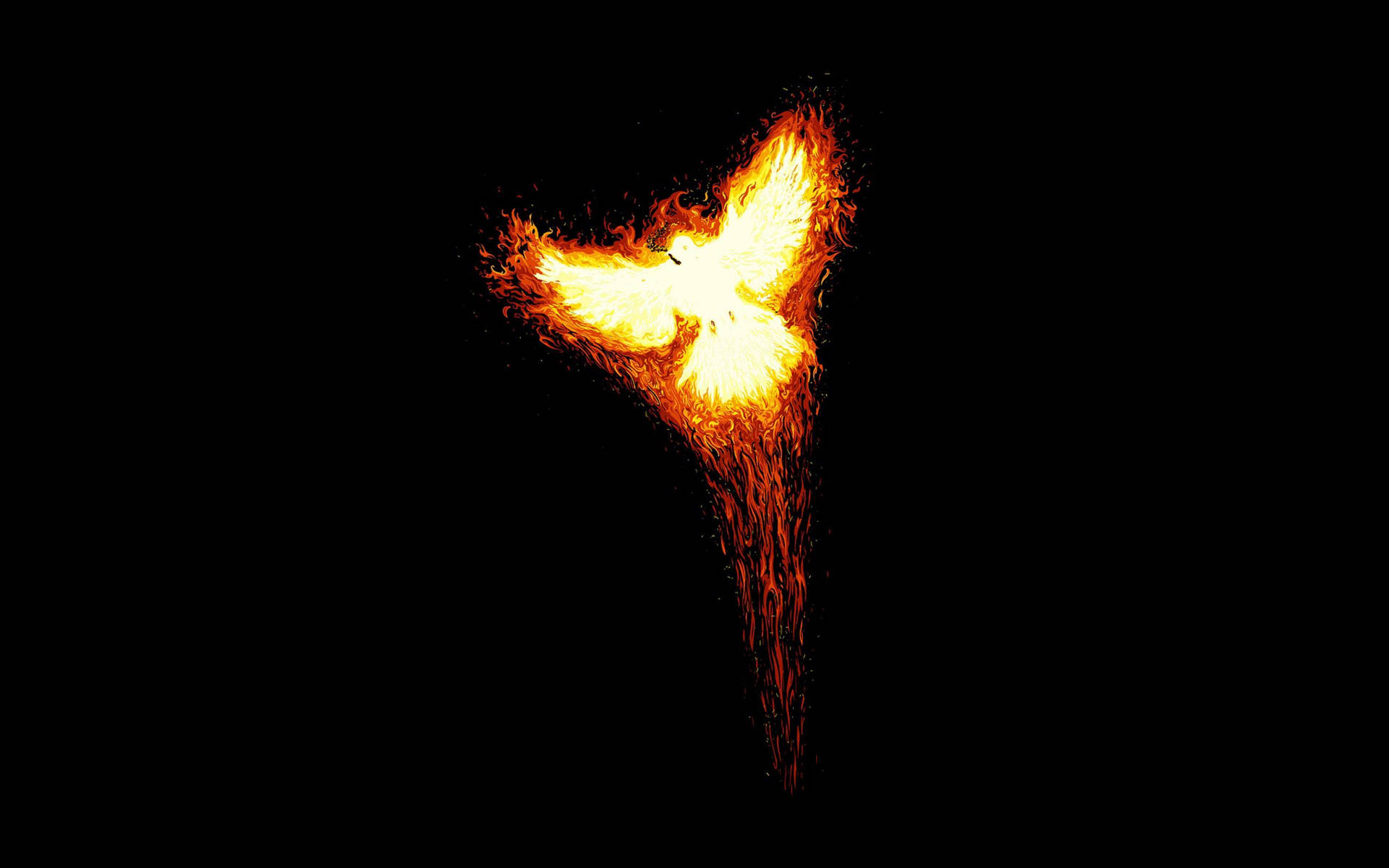 Phoenix 2560X1600 Wallpaper and Background Image