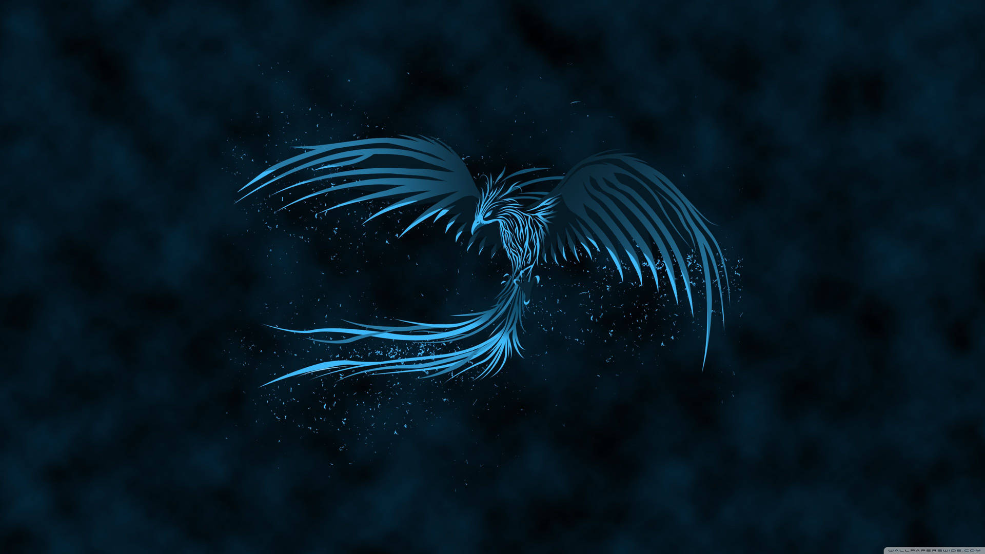 Phoenix 3840X2160 Wallpaper and Background Image