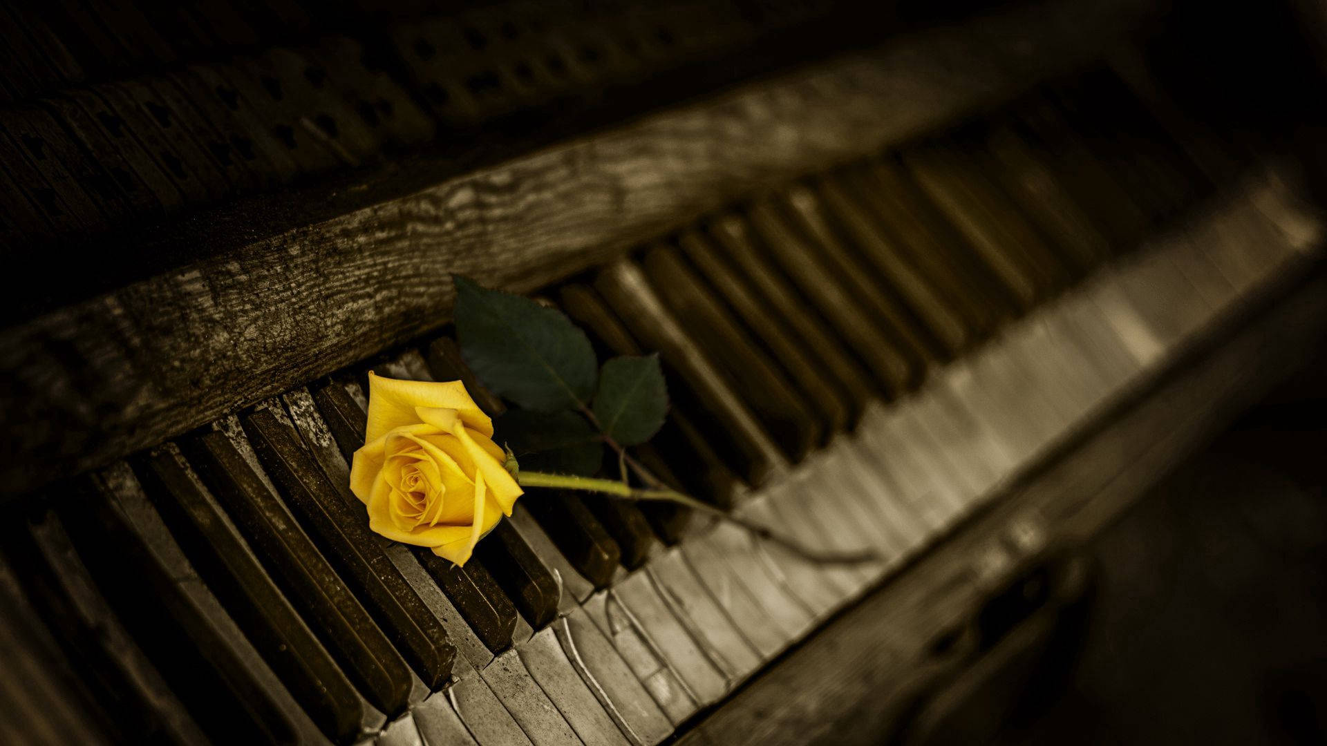 1920X1080 Piano Wallpaper and Background