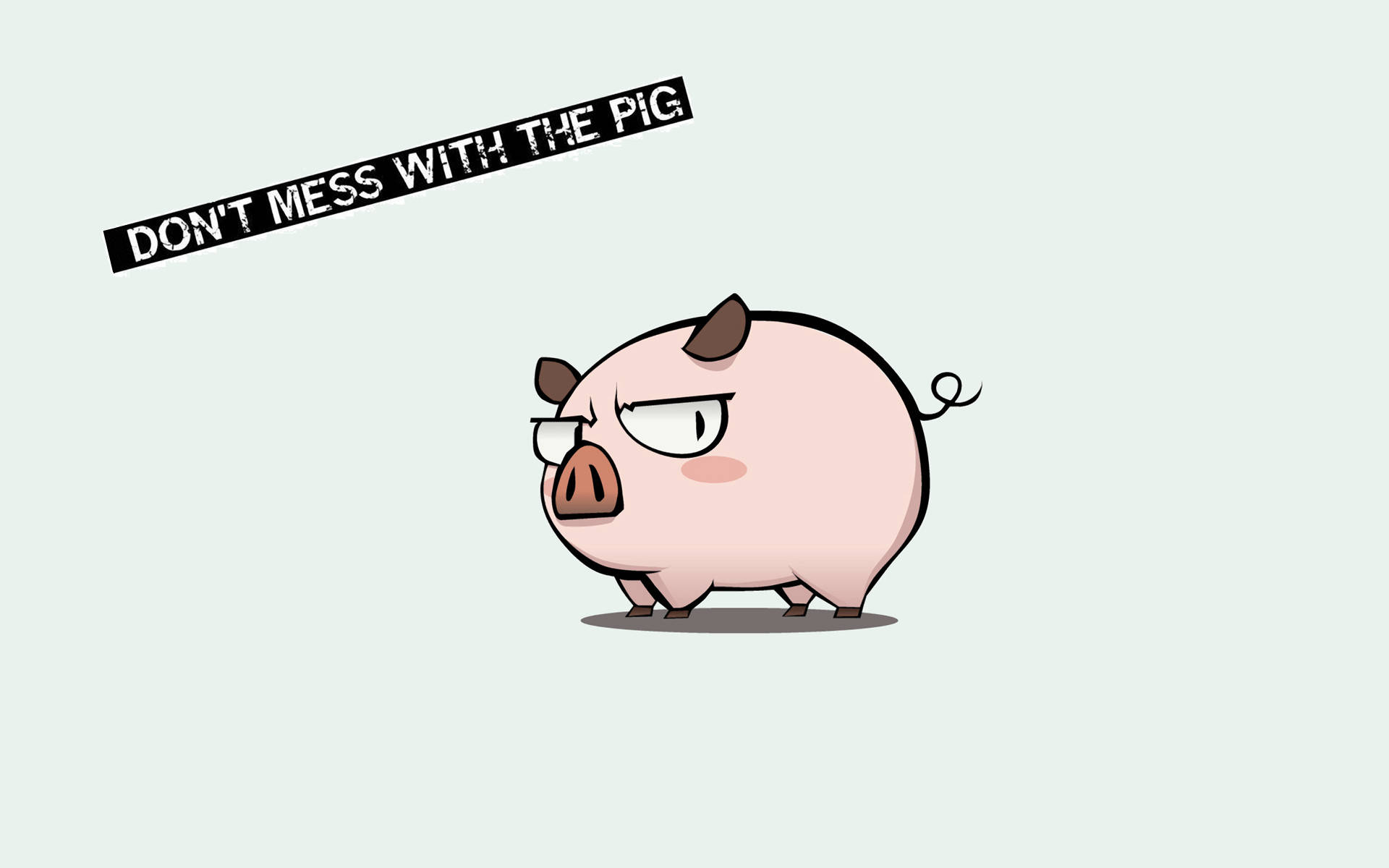 1920X1200 Pig Wallpaper and Background