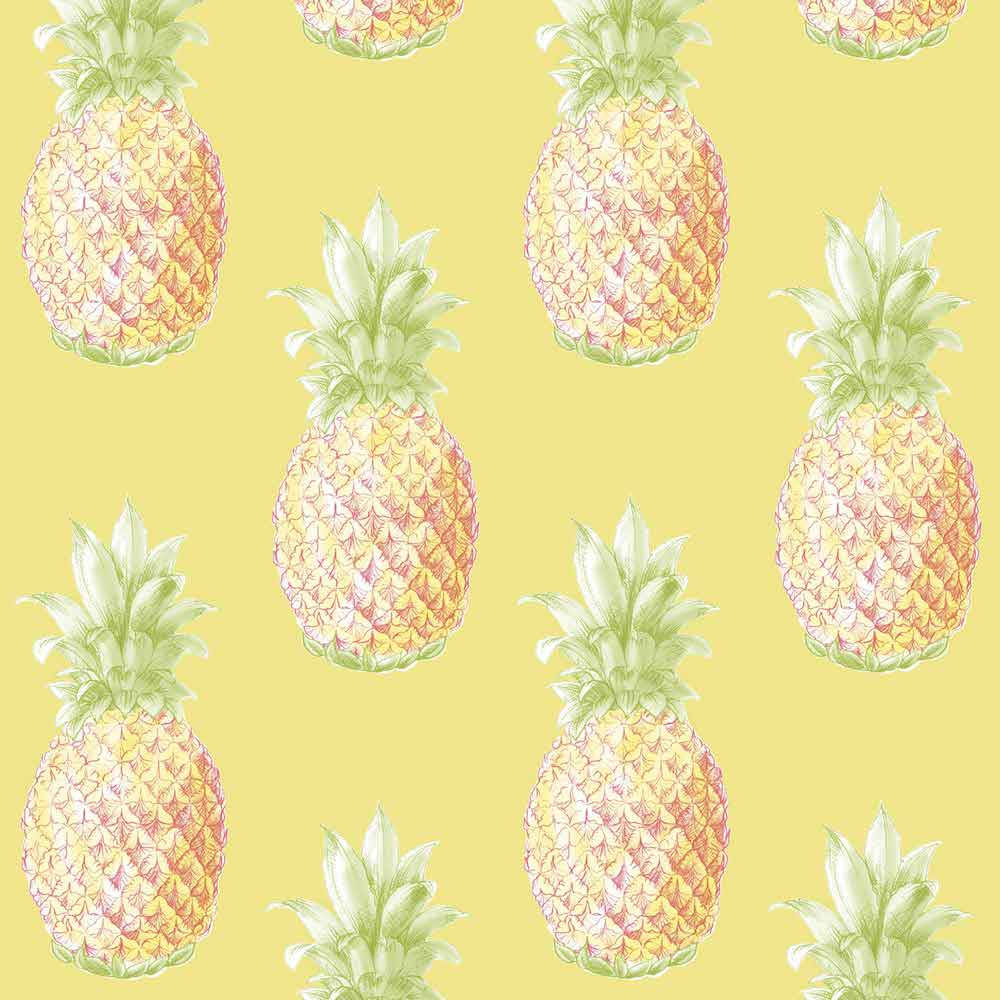 Pineapple 1000X1000 Wallpaper and Background Image