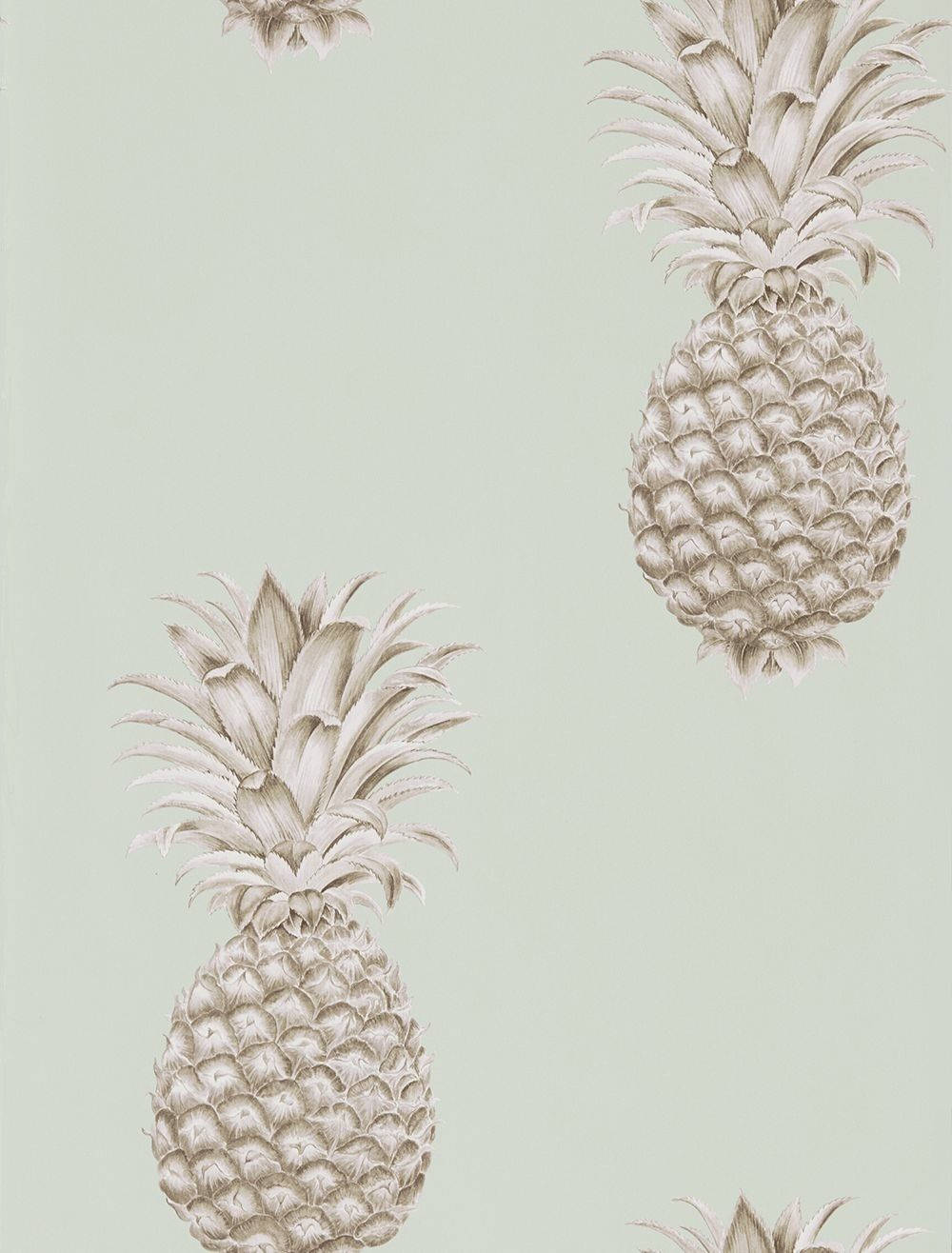 1000X1316 Pineapple Wallpaper and Background