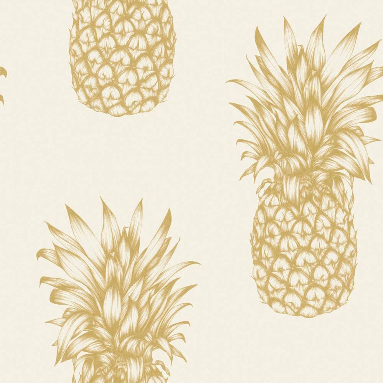 Pineapple 1300X1300 Wallpaper and Background Image