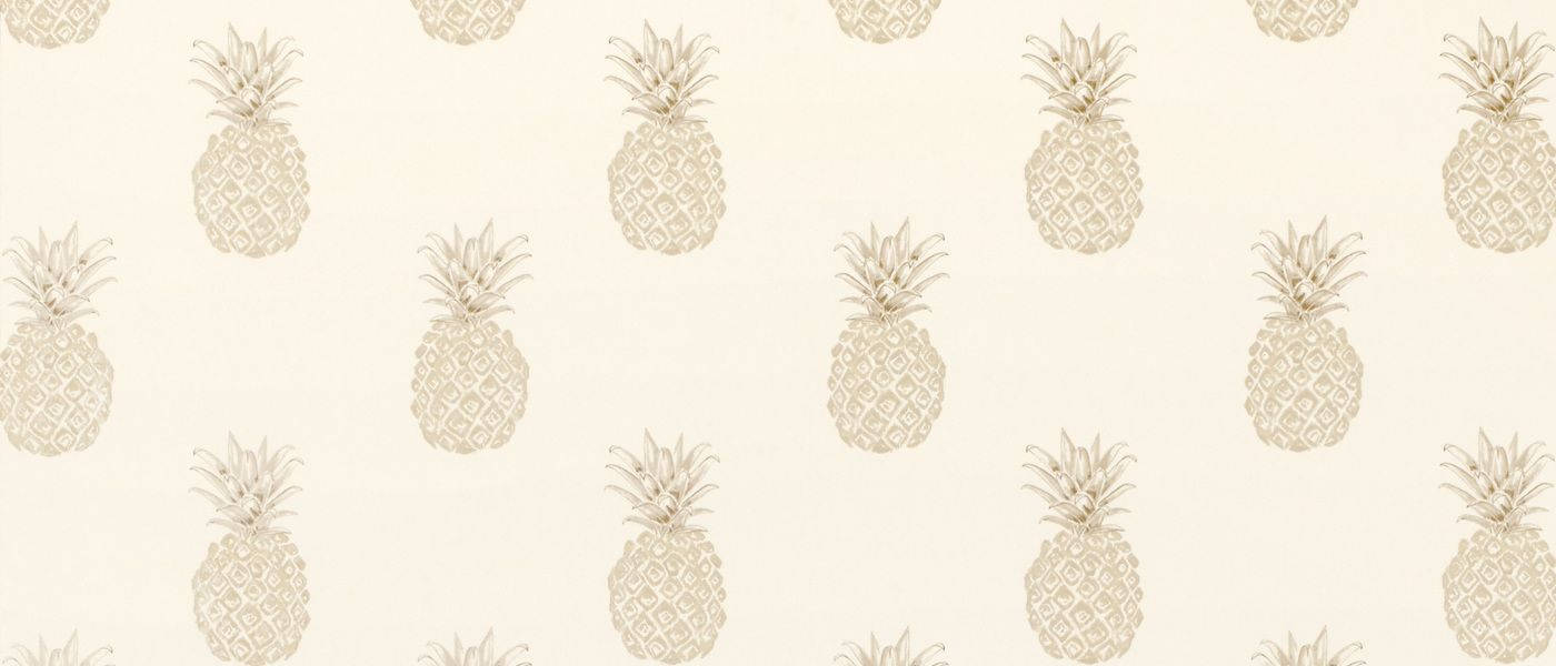 1400X600 Pineapple Wallpaper and Background