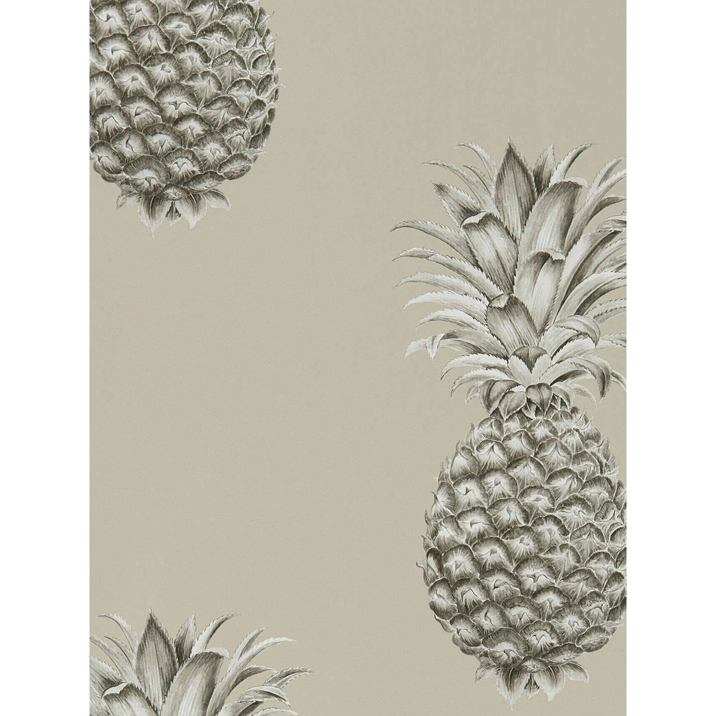 Pineapple 1440X1440 Wallpaper and Background Image