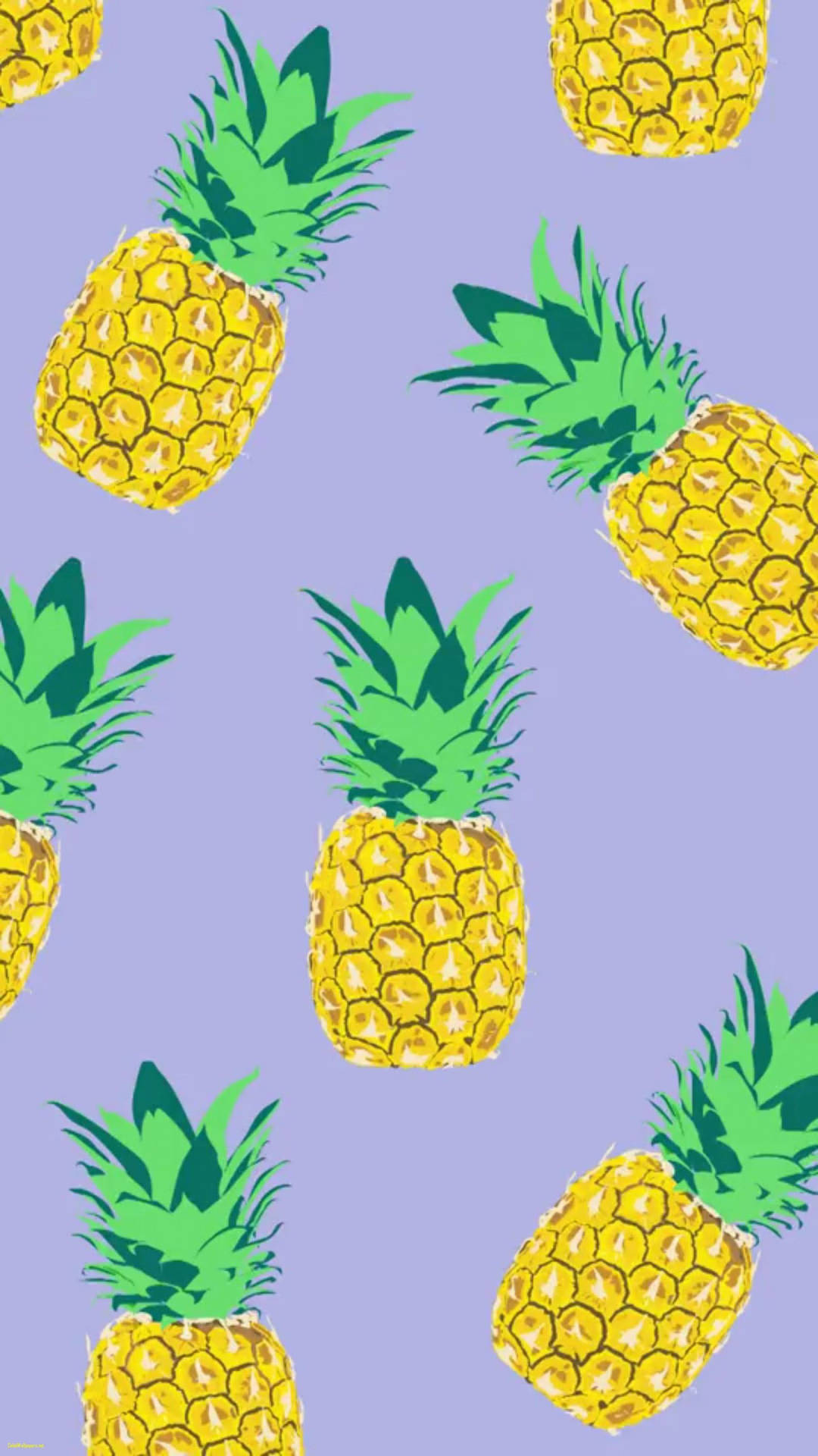 1600X2844 Pineapple Wallpaper and Background