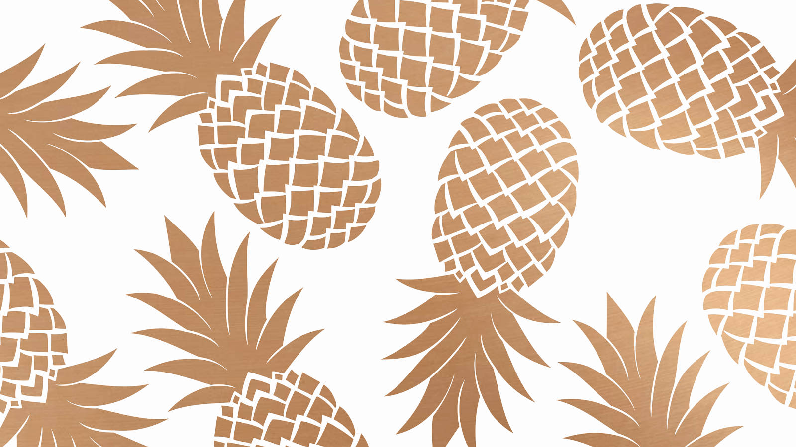 Pineapple 1600X900 wallpaper