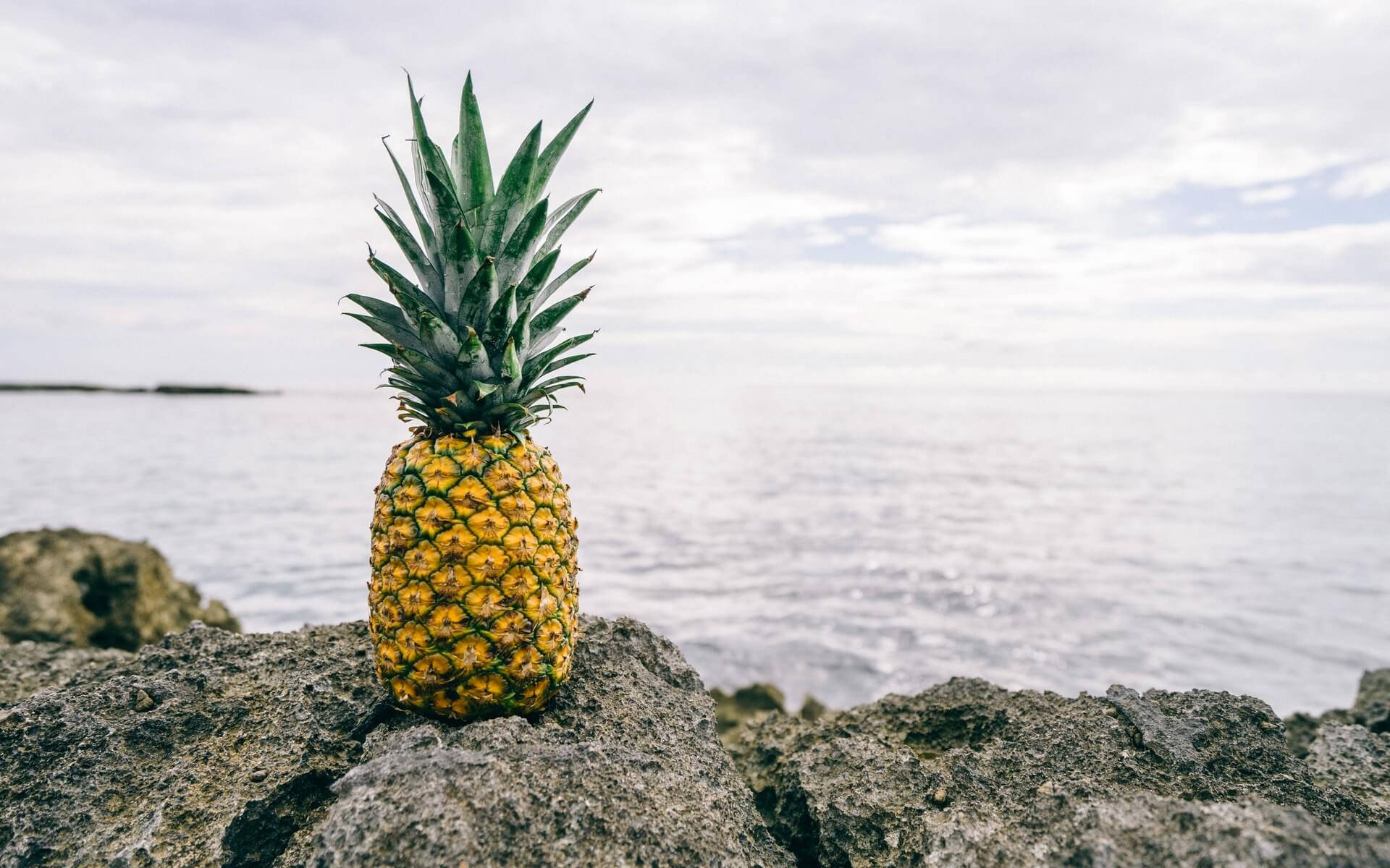 Pineapple 1920X1200 Wallpaper and Background Image