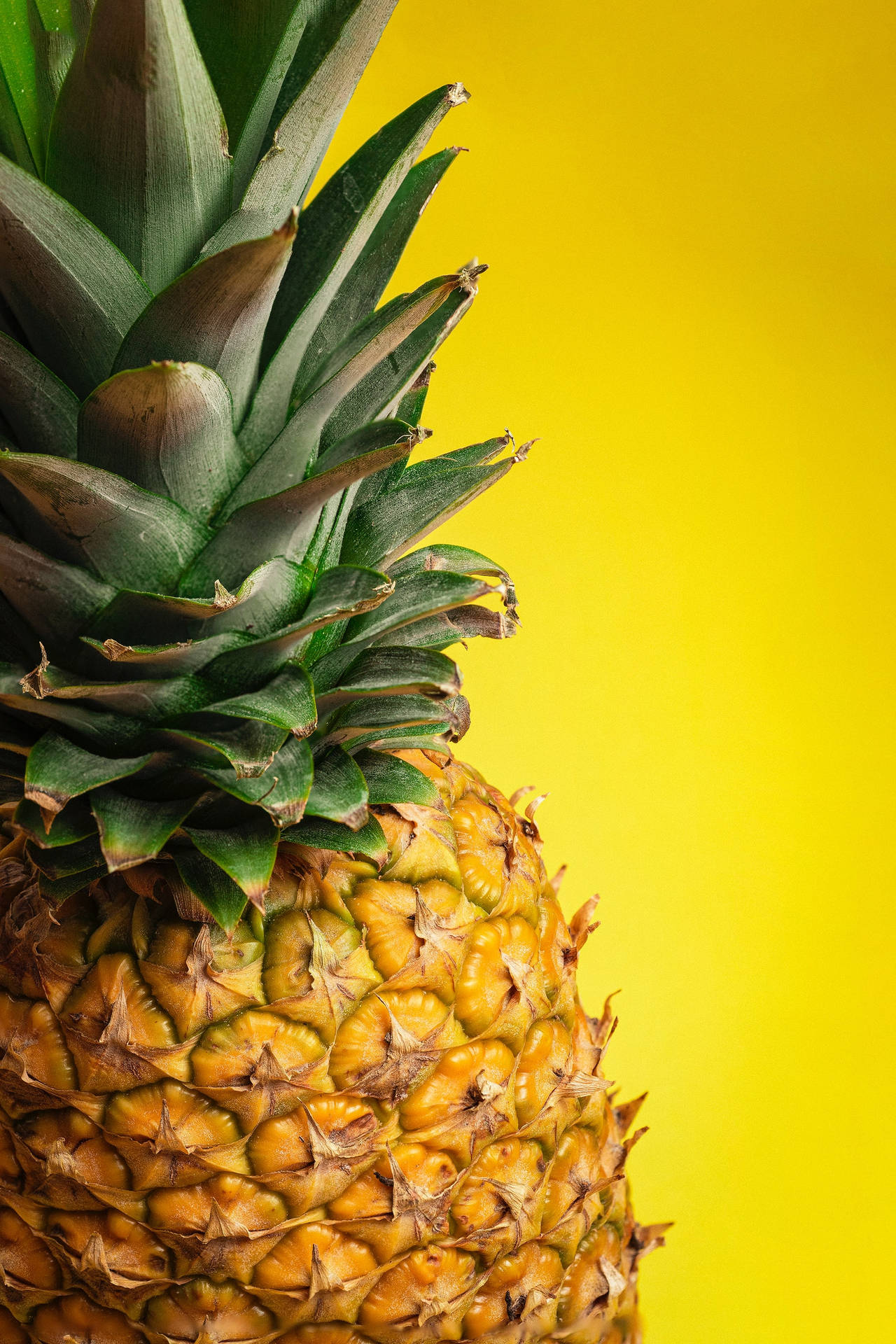 Pineapple 2000X3000 Wallpaper and Background Image