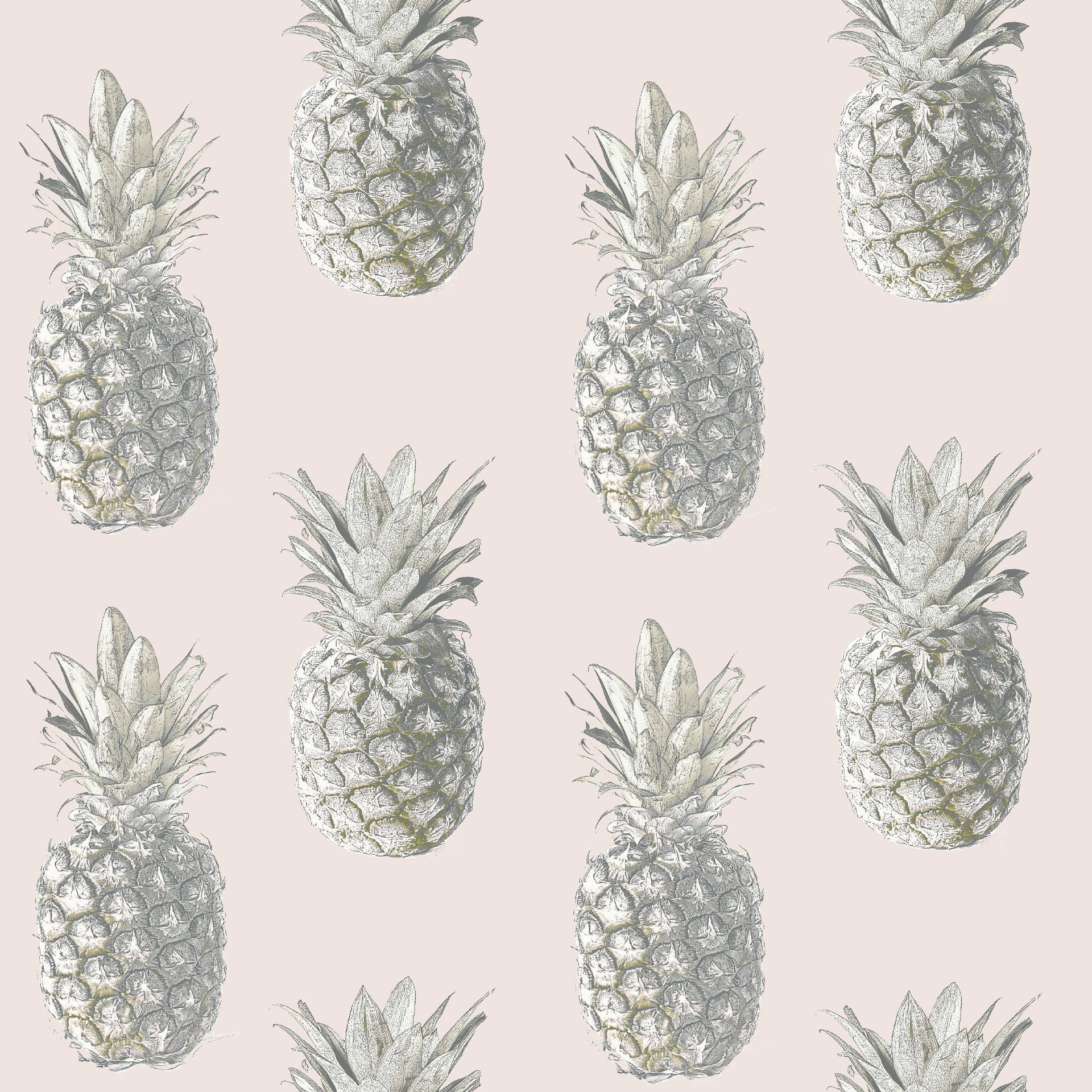 Pineapple 2362X2362 Wallpaper and Background Image