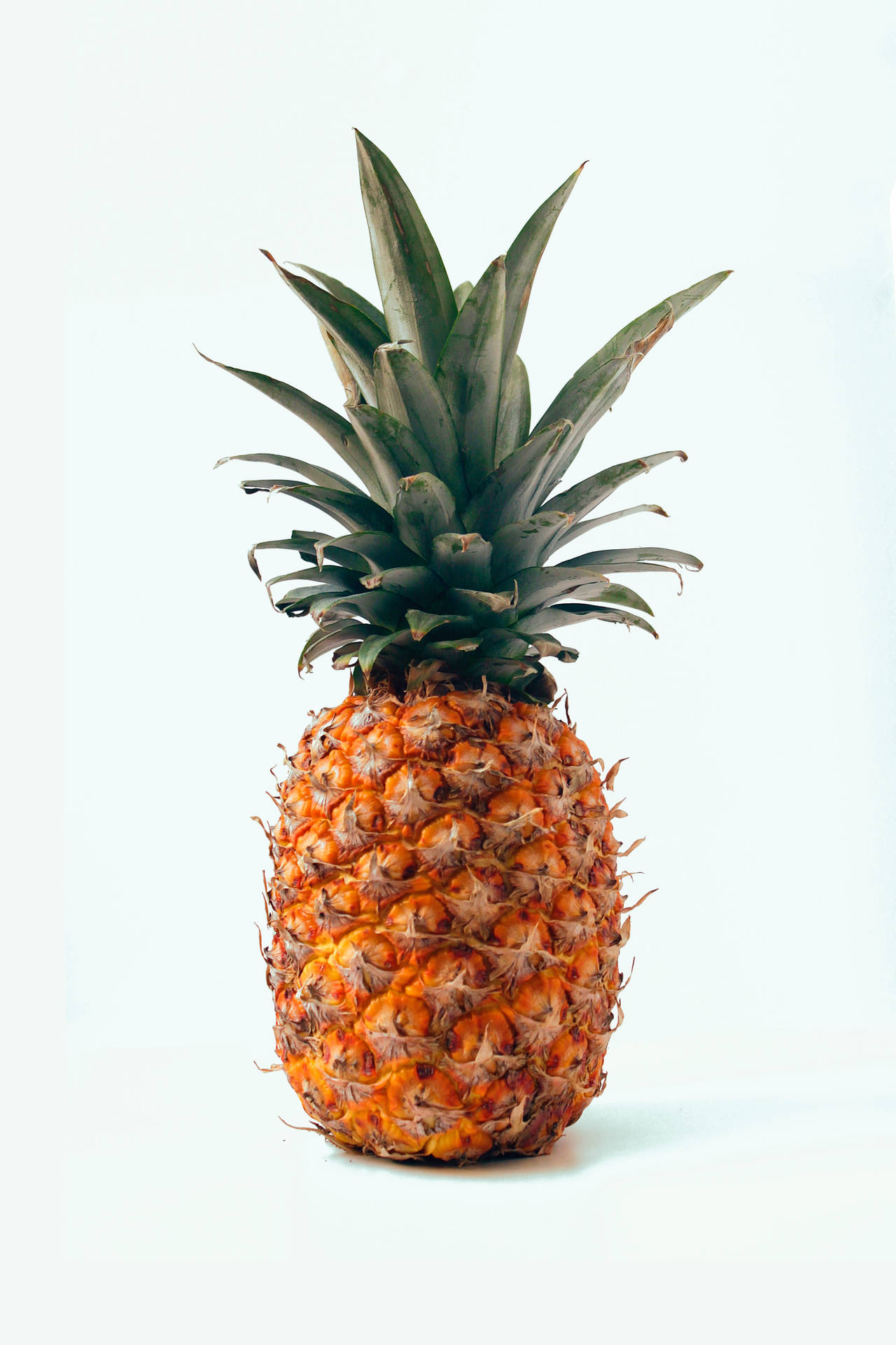 2749X4124 Pineapple Wallpaper and Background
