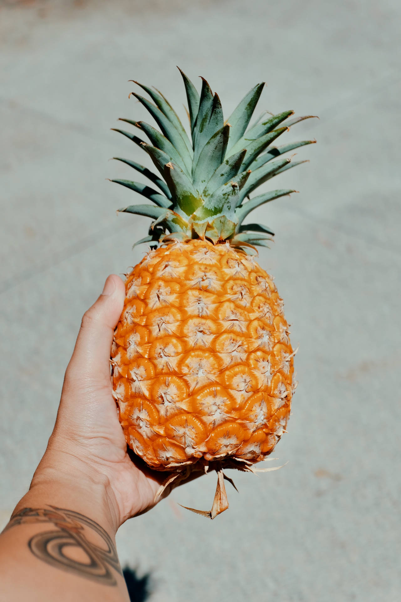 3264X4896 Pineapple Wallpaper and Background