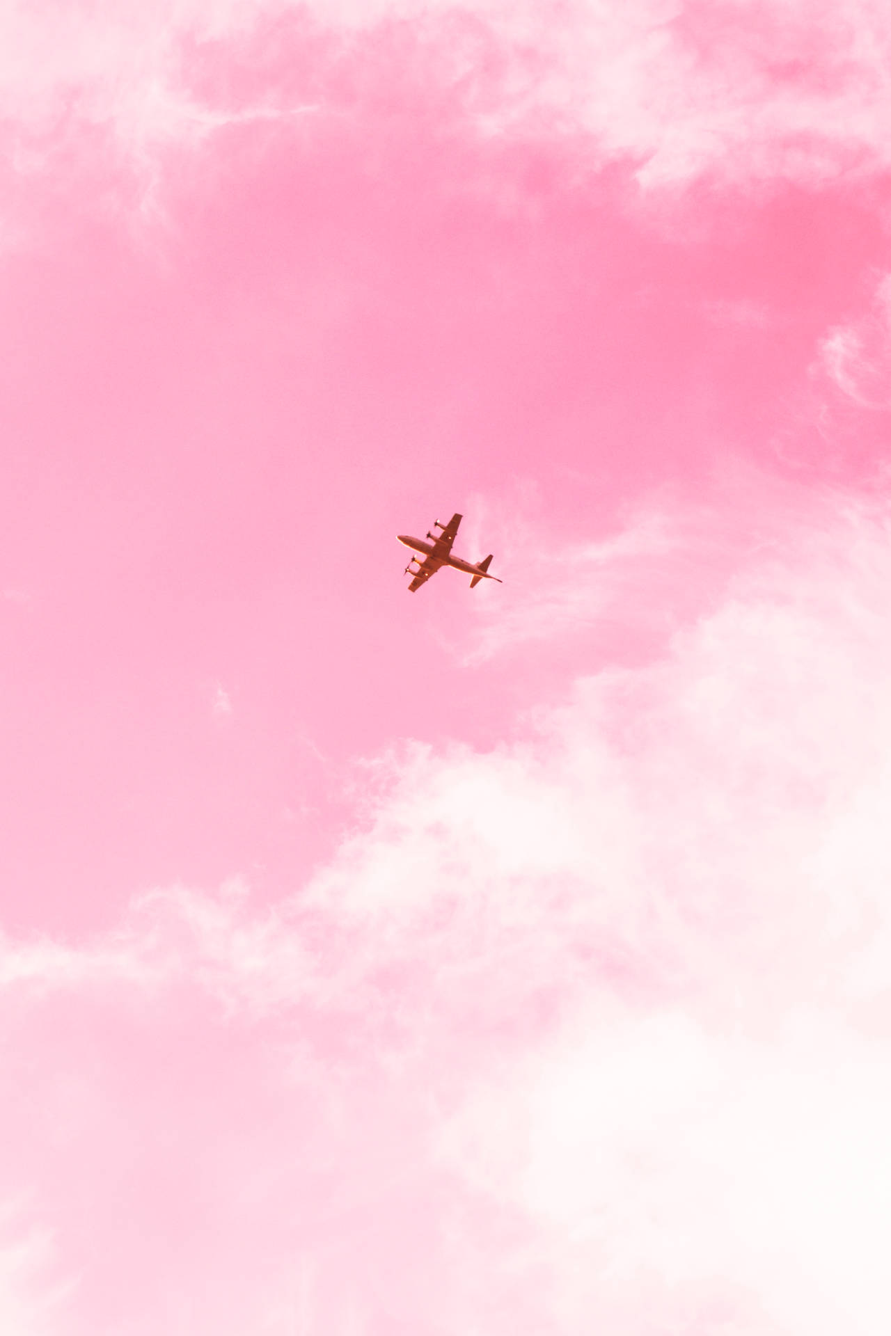 2666X3999 Pink Aesthetic Wallpaper and Background