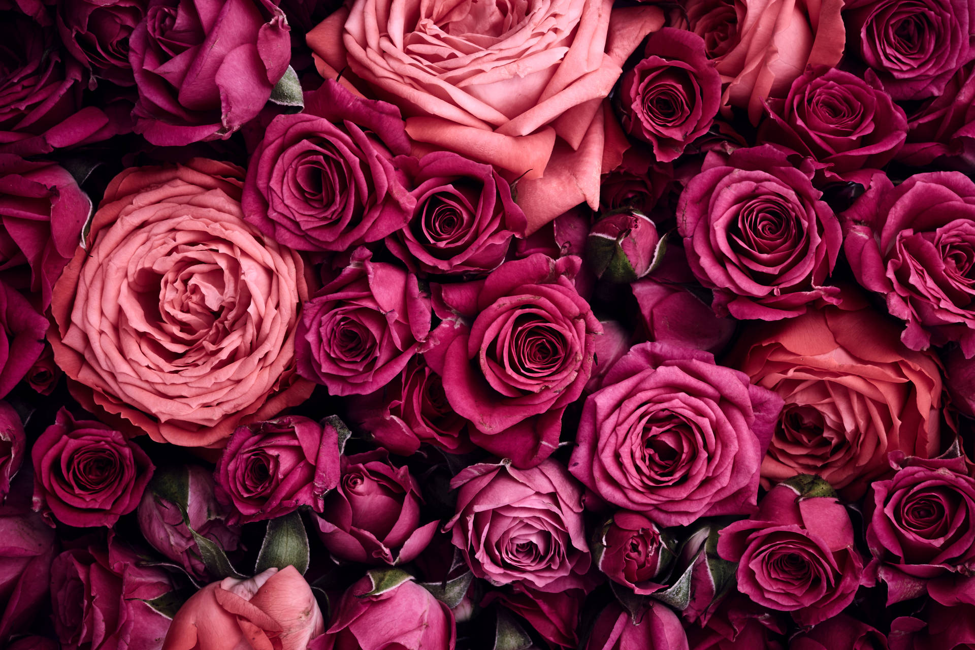 5472X3648 Pink Aesthetic Wallpaper and Background