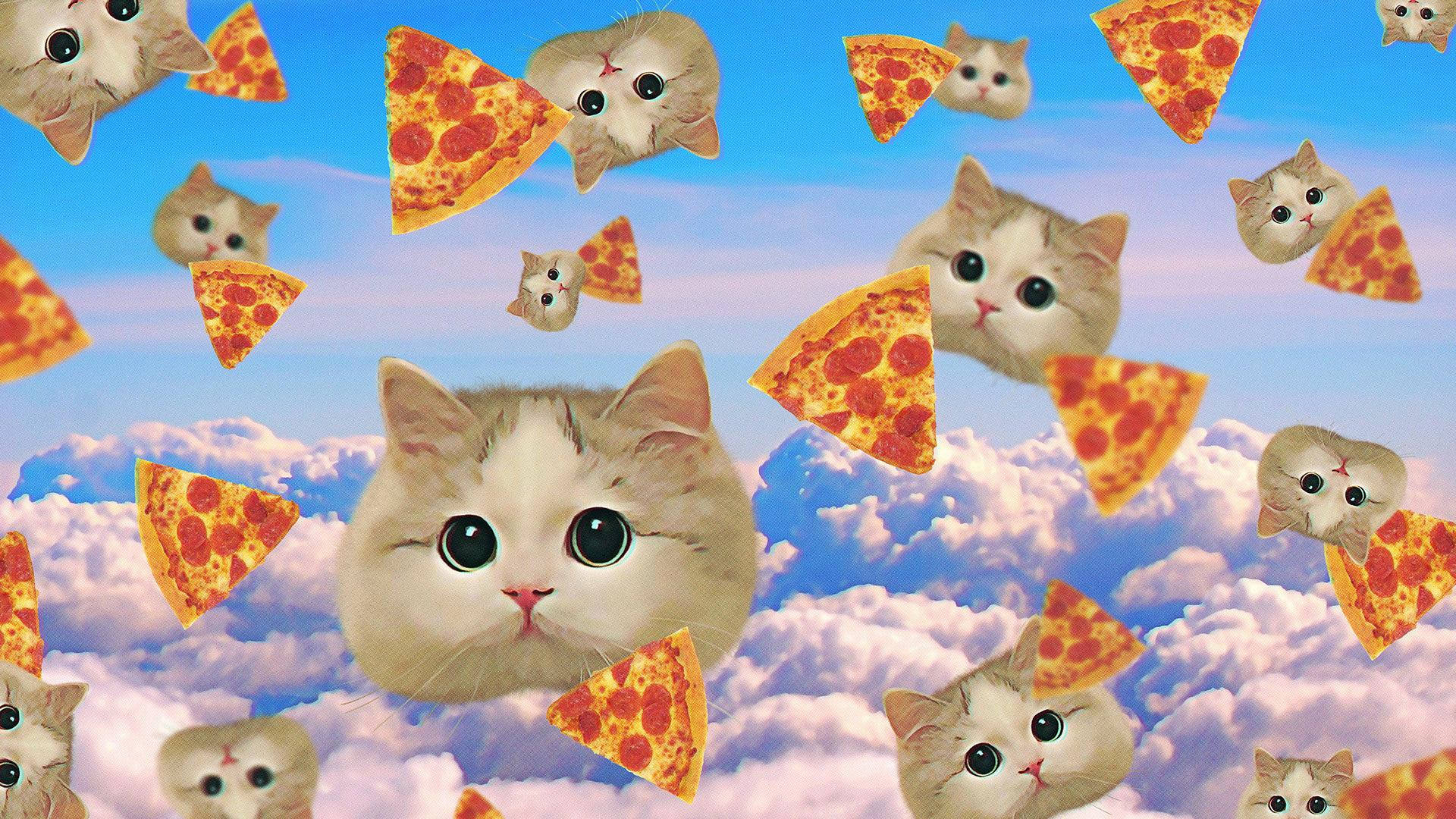 Pizza 1920X1080 Wallpaper and Background Image