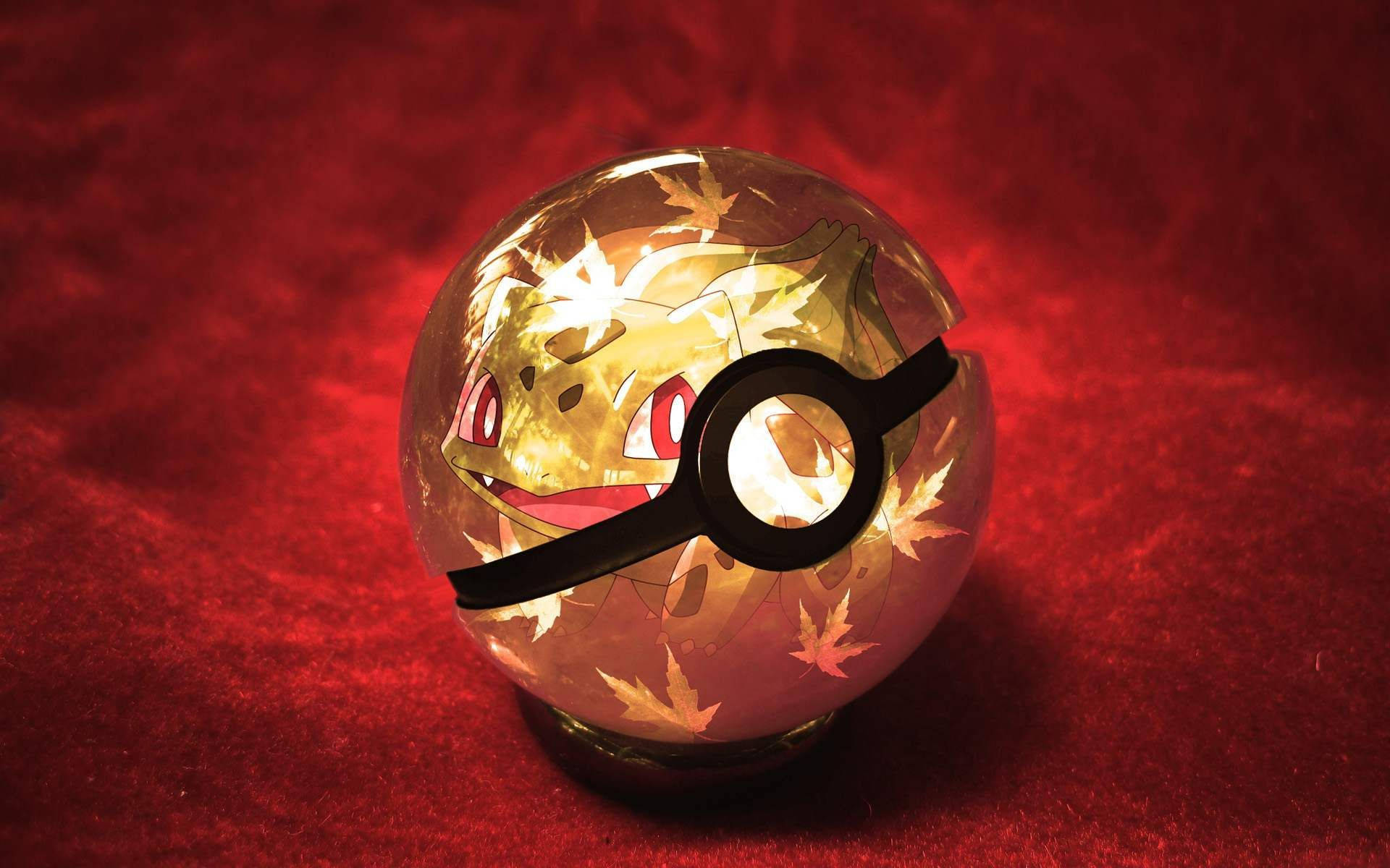Pokeball 1920X1200 Wallpaper and Background Image