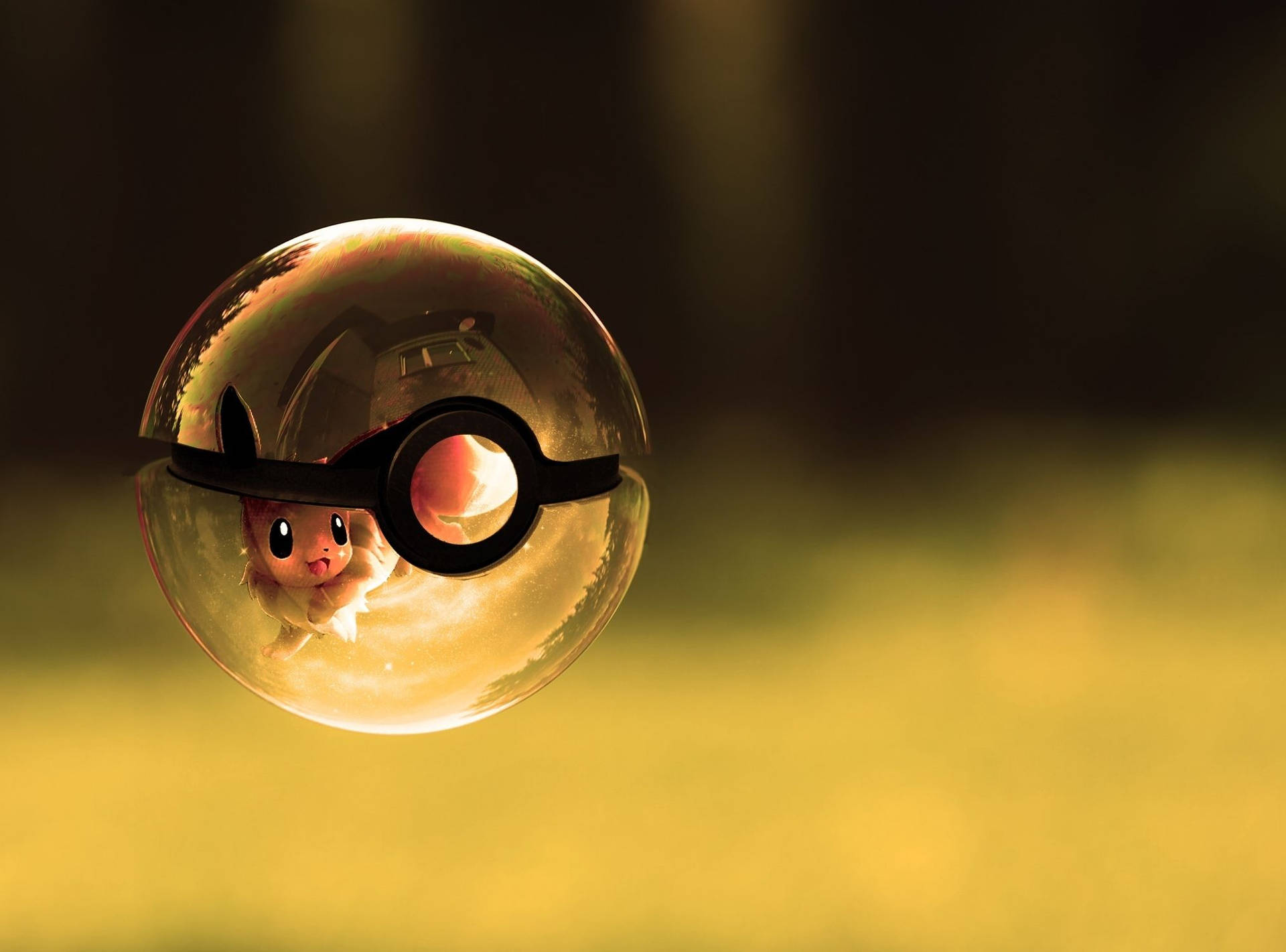 Pokeball 2027X1500 Wallpaper and Background Image